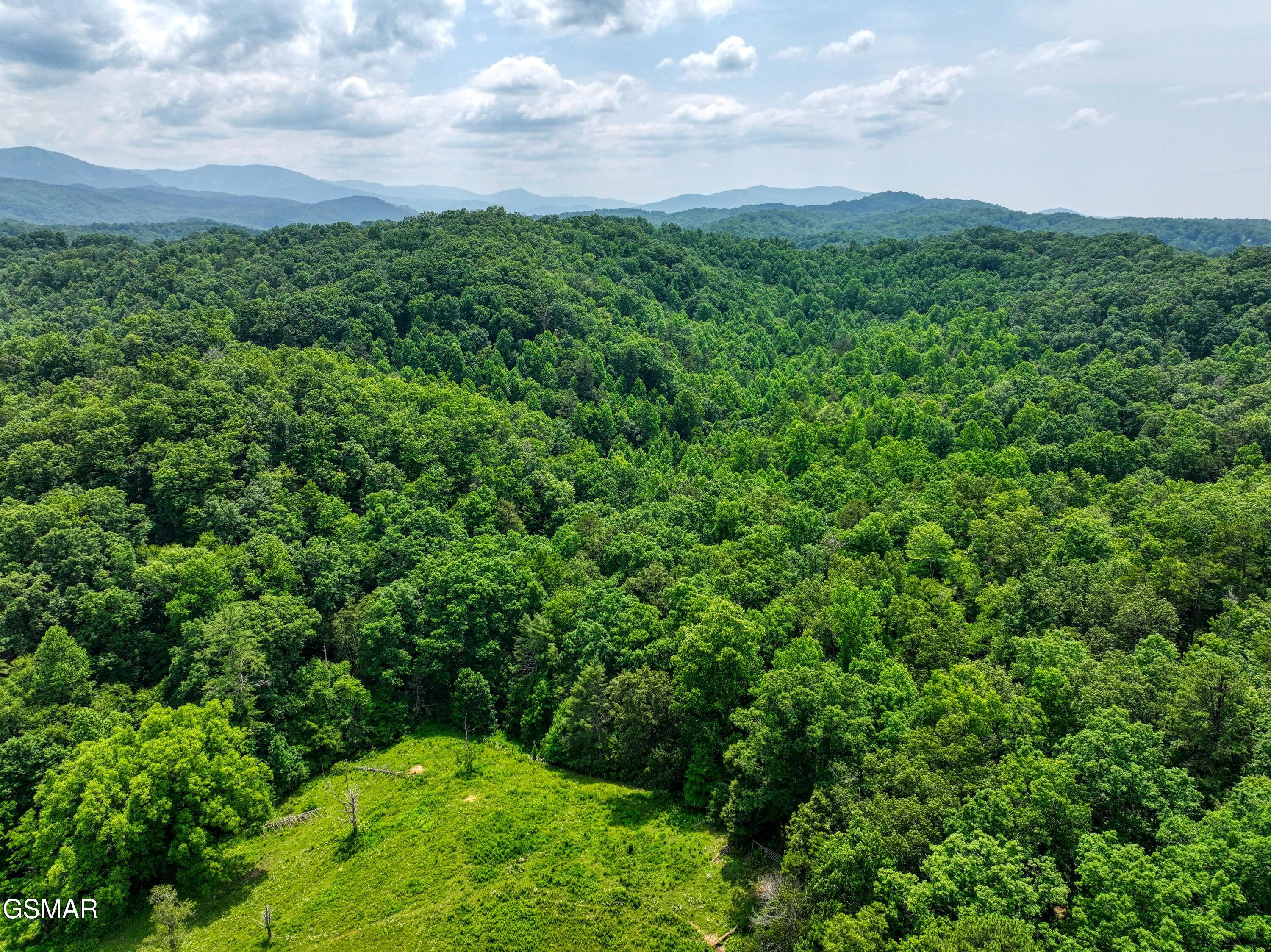 1A Birds Creek Road Gatlinburg TN 37738