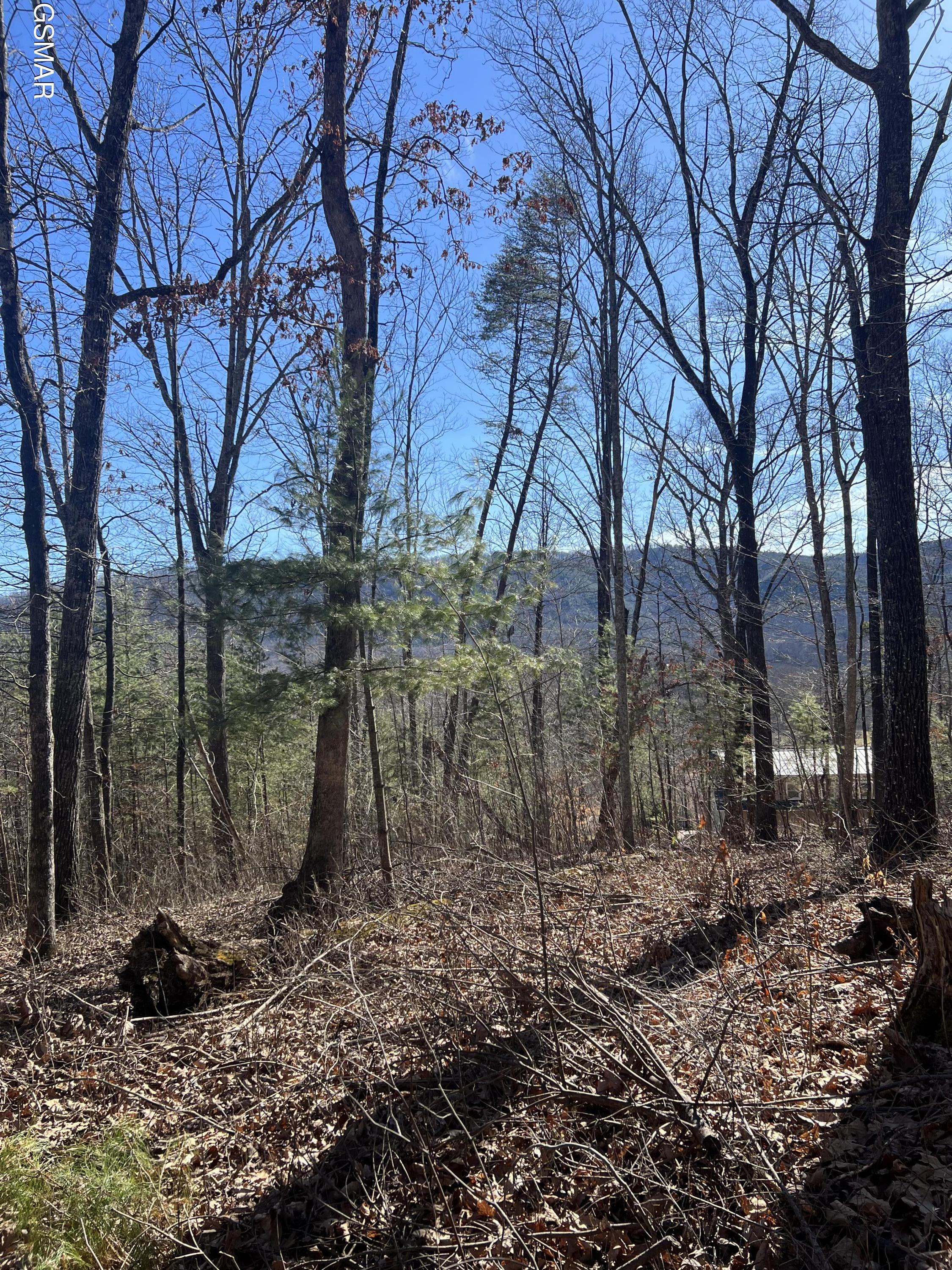 1008 Country Mountain Road Cosby TN 37722