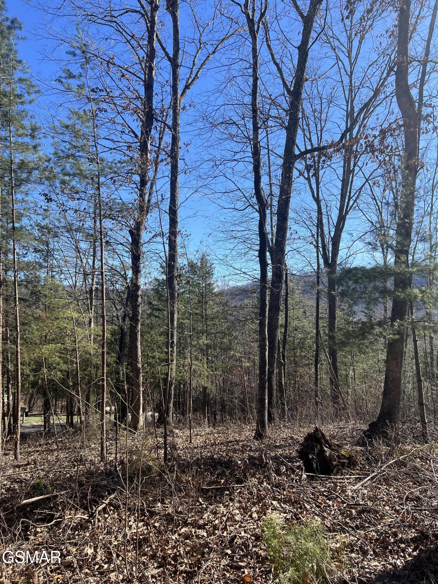 1008 Country Mountain Road Cosby TN 37722