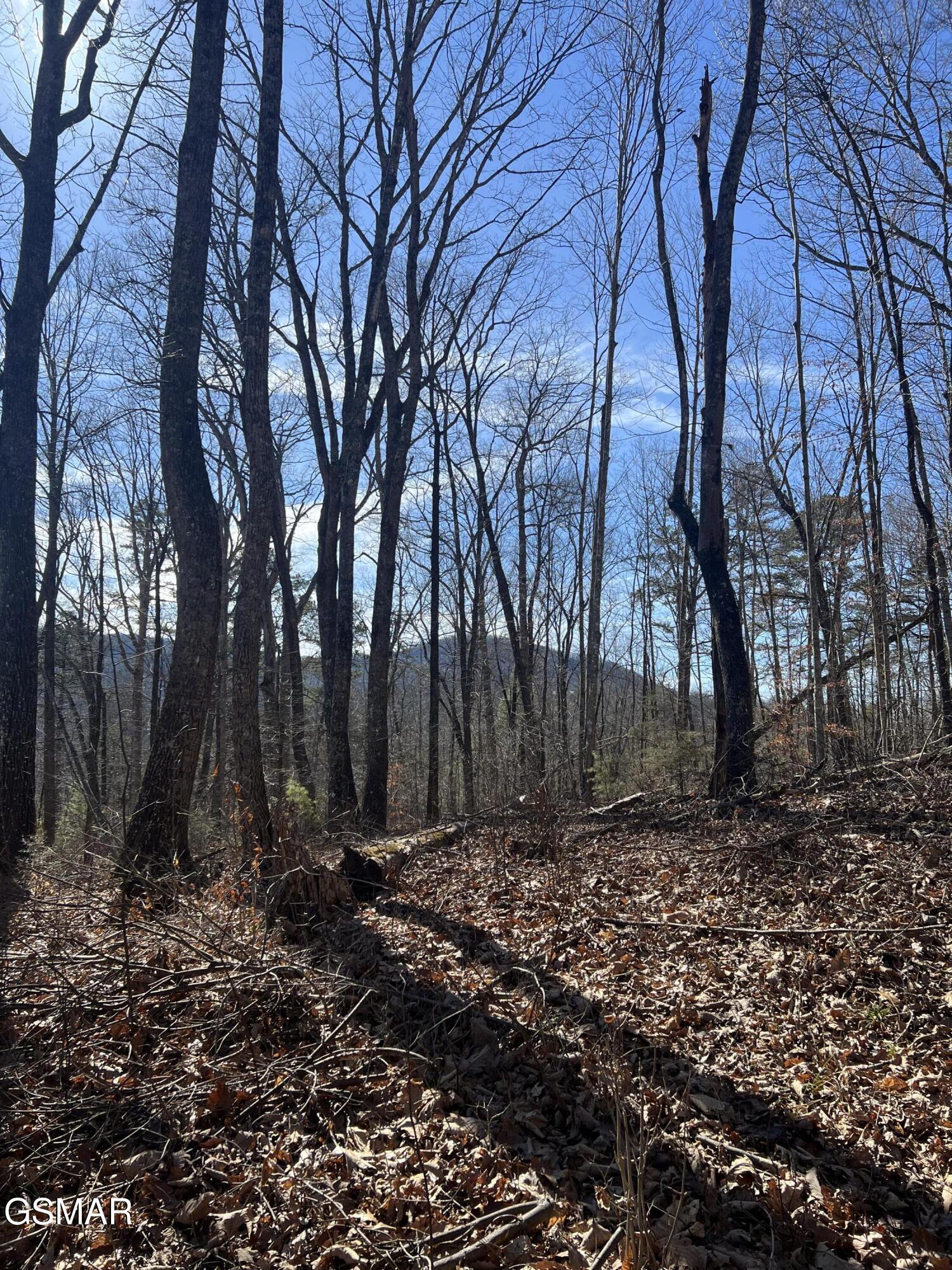 1008 Country Mountain Road Cosby TN 37722