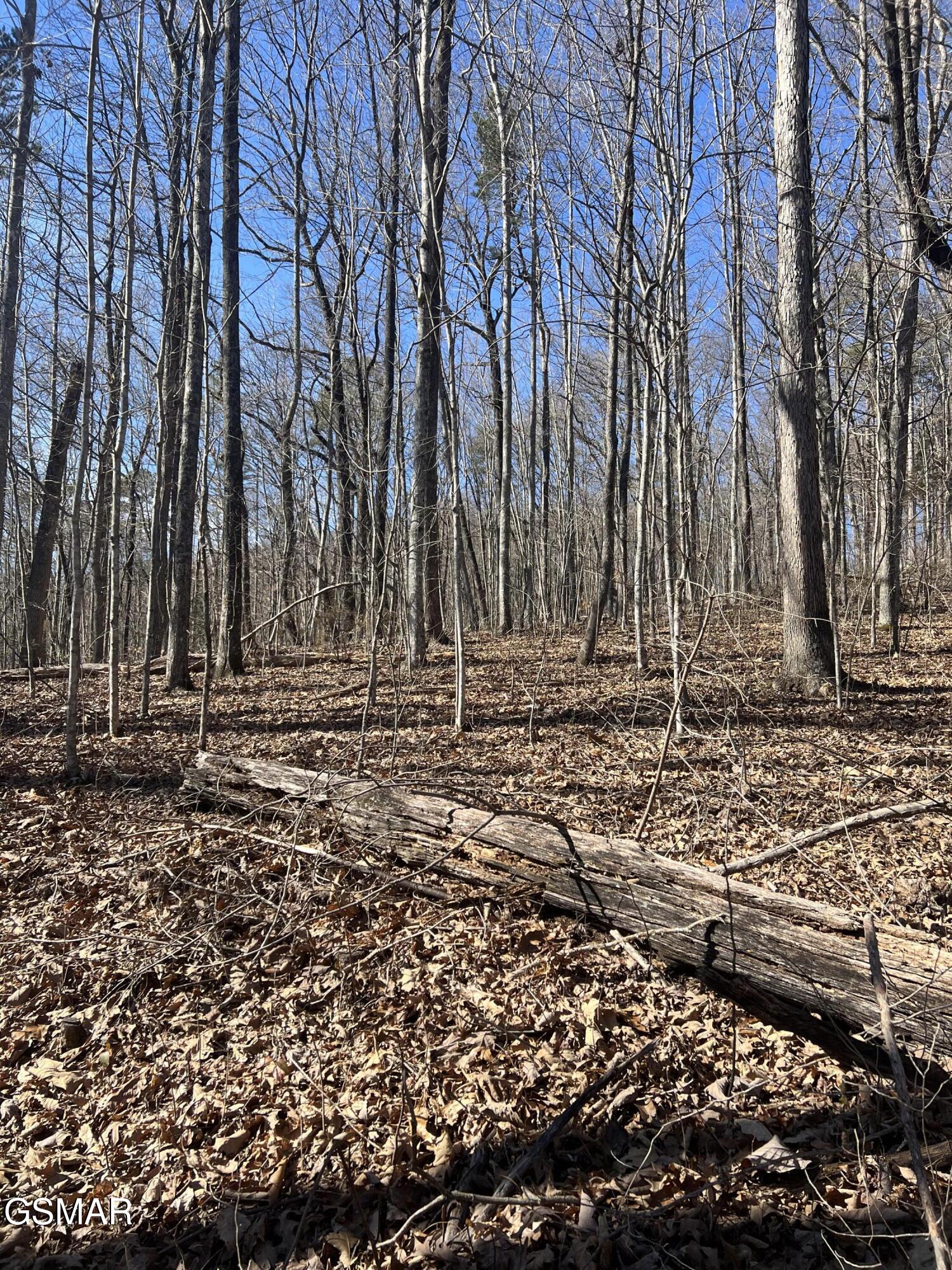 1008 Country Mountain Road Cosby TN 37722