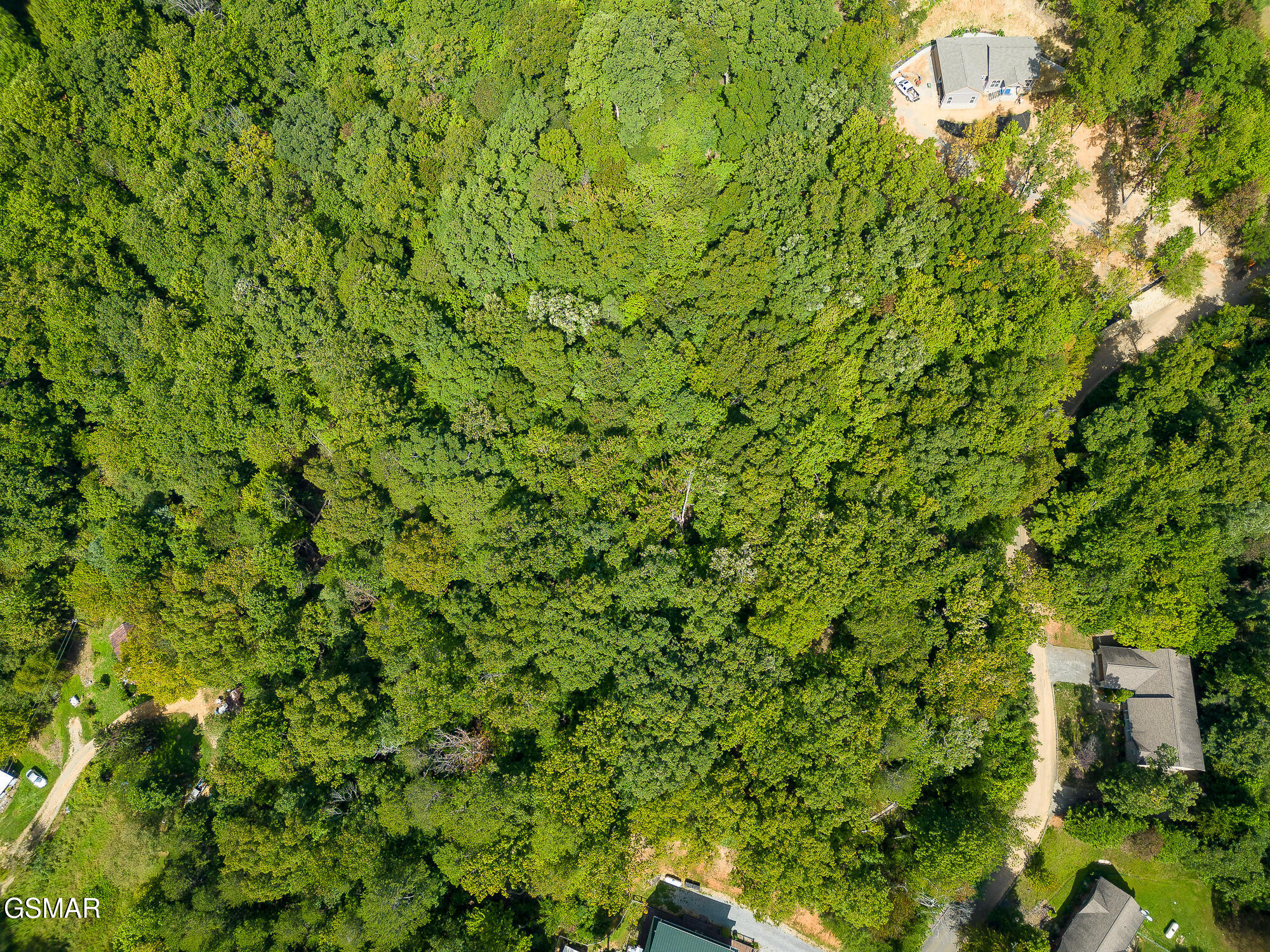 1008 Country Mountain Road Cosby TN 37722