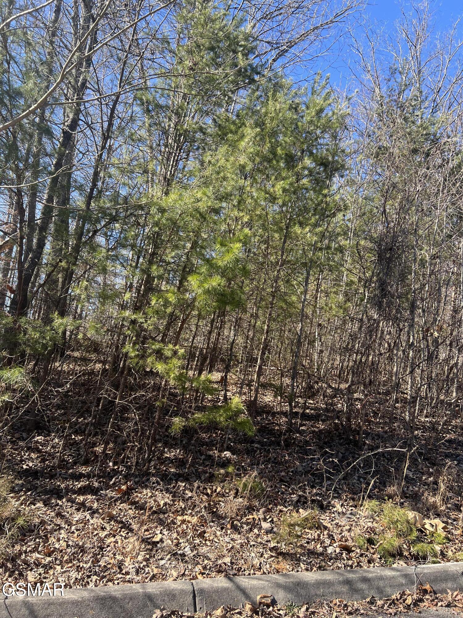 1008 Country Mountain Road Cosby TN 37722