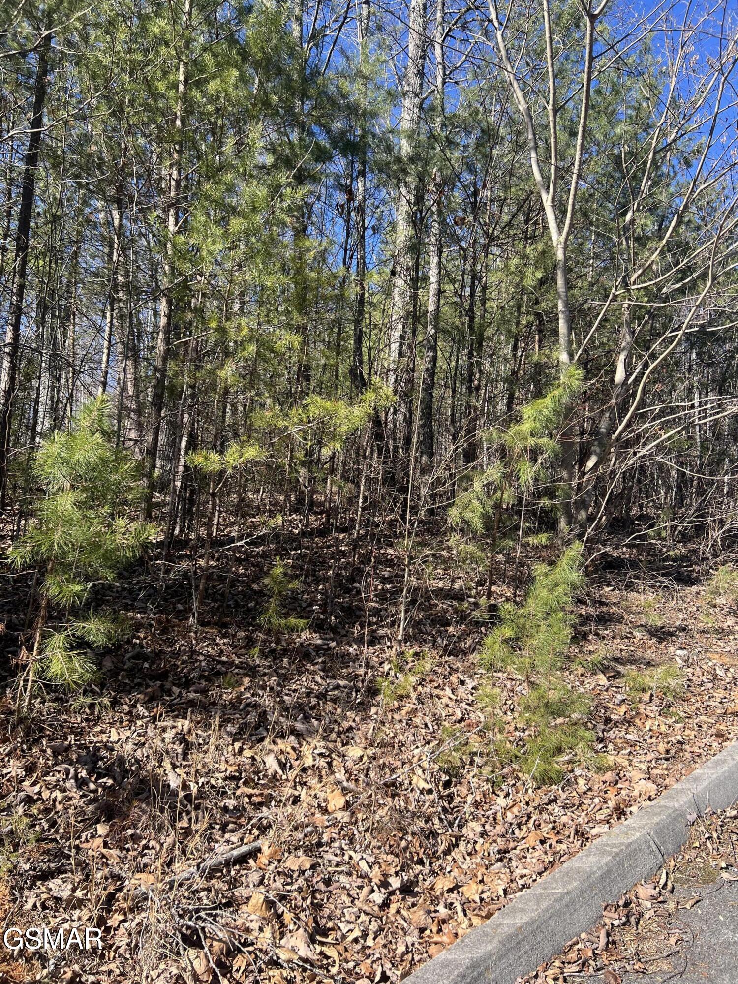 1008 Country Mountain Road Cosby TN 37722