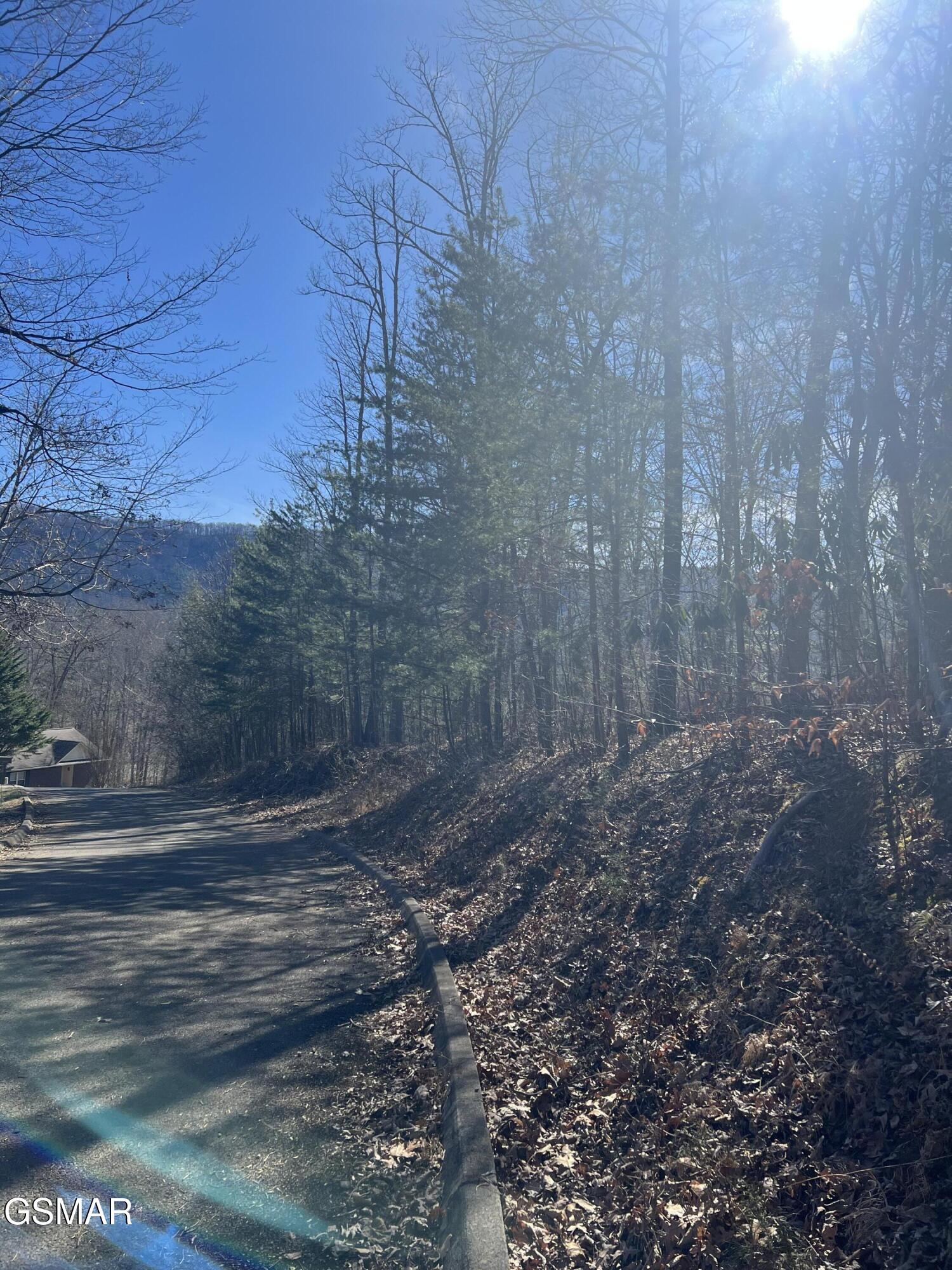 1008 Country Mountain Road Cosby TN 37722