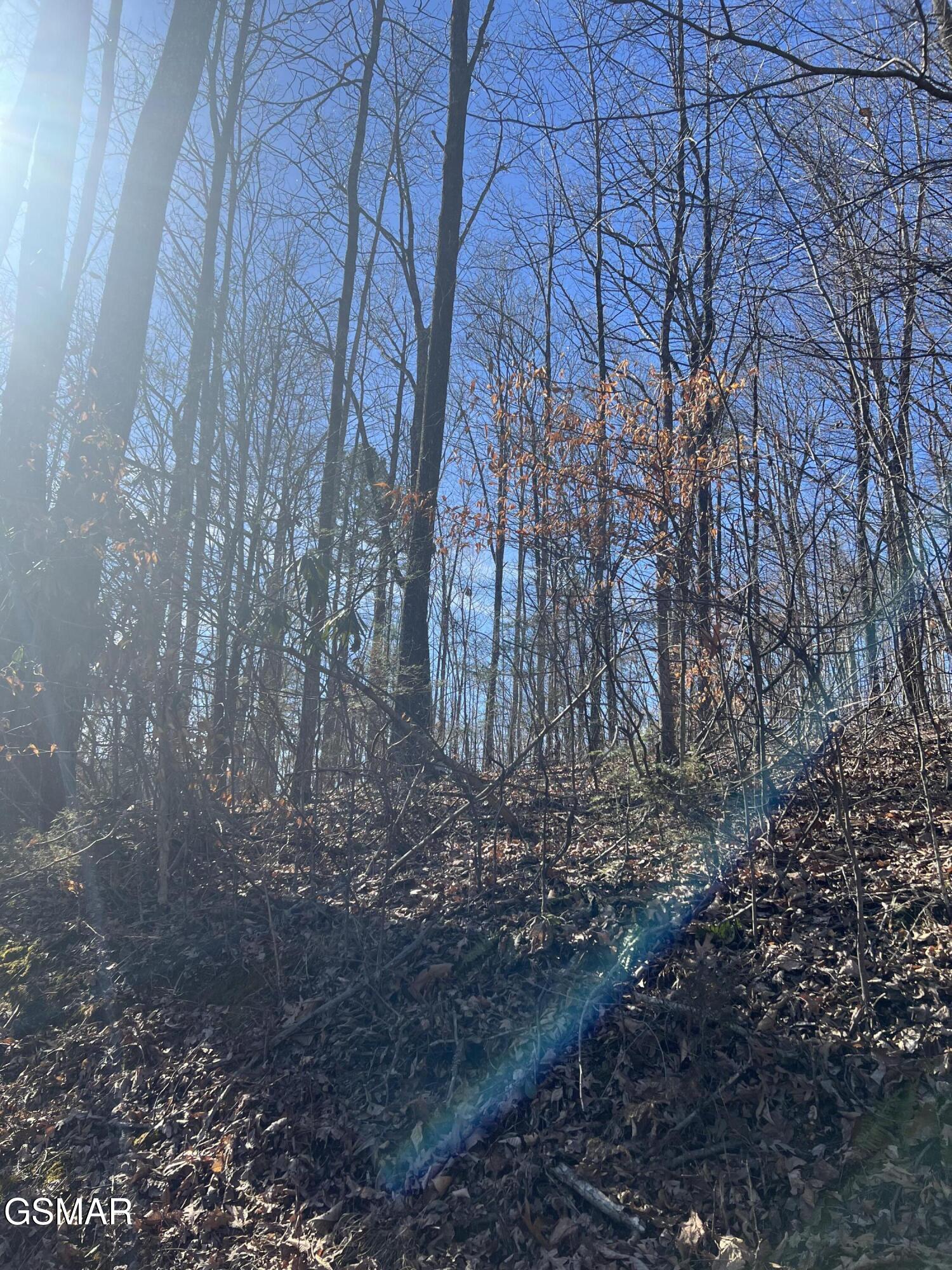1008 Country Mountain Road Cosby TN 37722