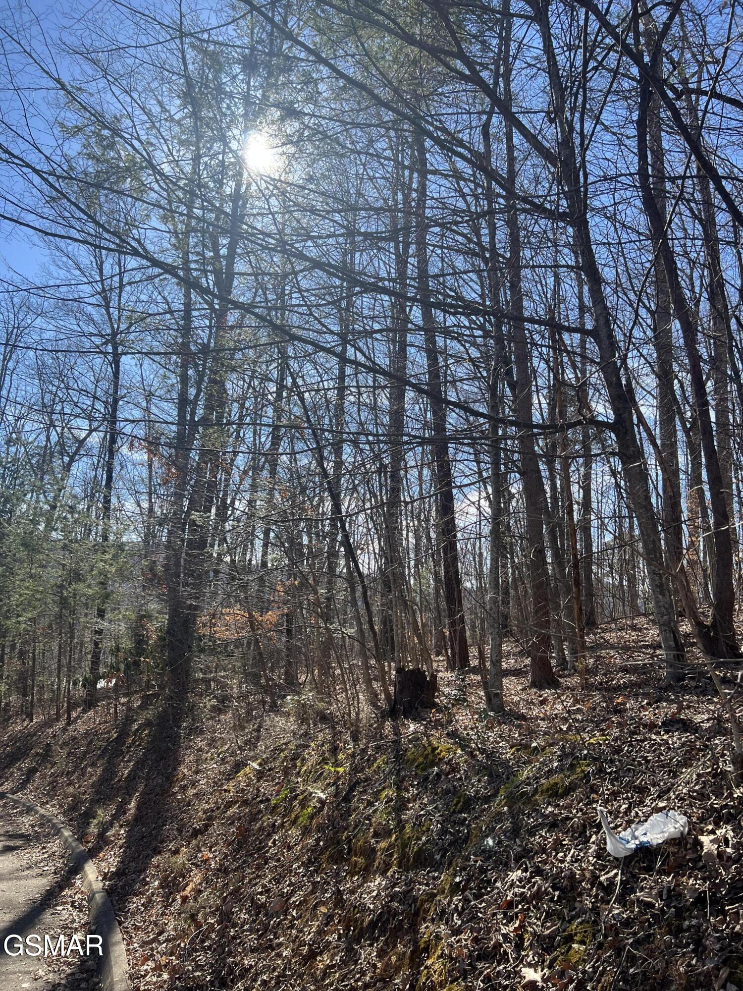 1008 Country Mountain Road Cosby TN 37722