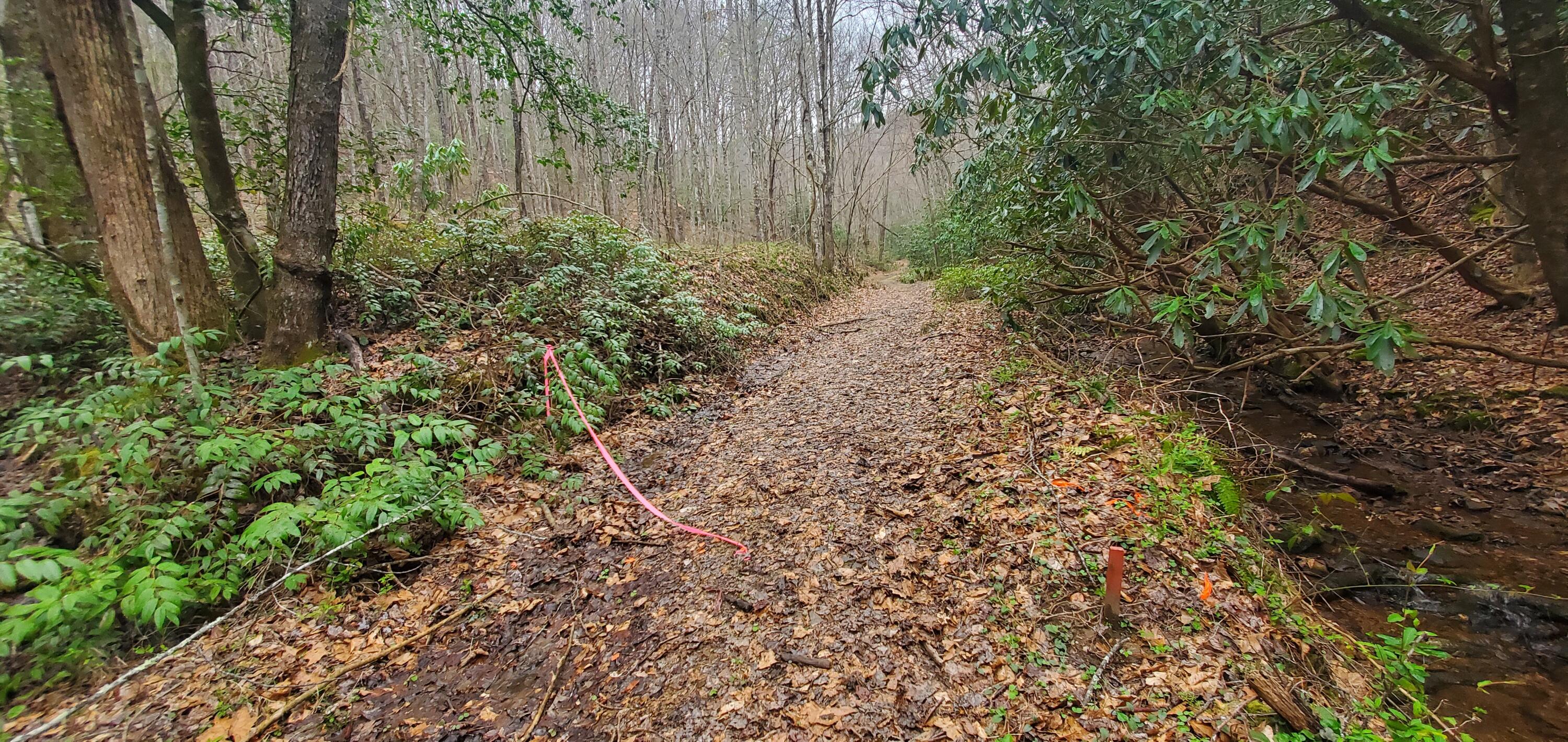 0 Mitchell Hollow Road Sevierville TN 37862