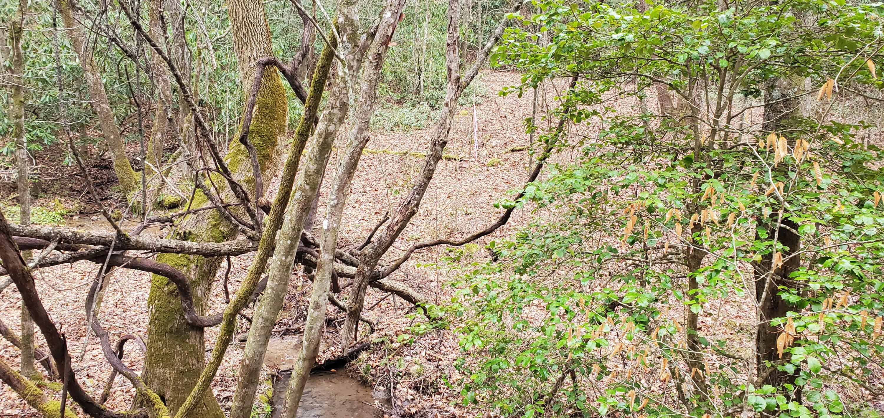 0 Mitchell Hollow Road Sevierville TN 37862