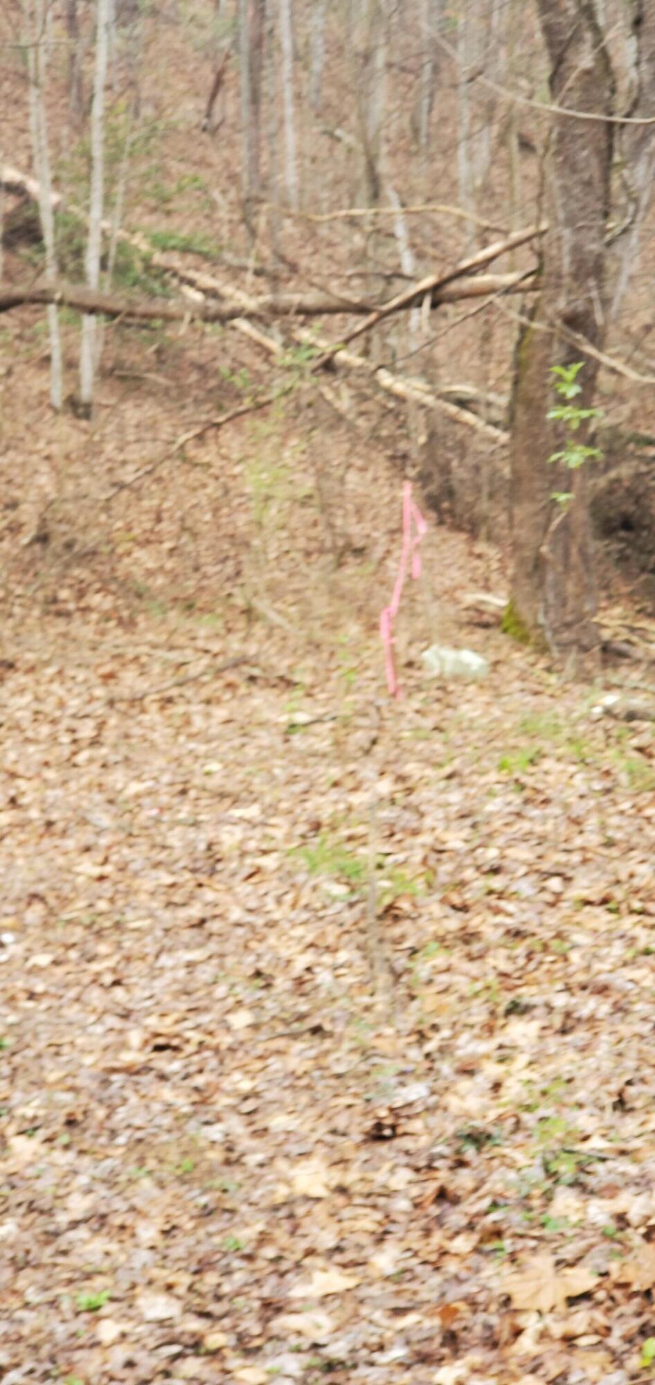 0 Mitchell Hollow Road Sevierville TN 37862