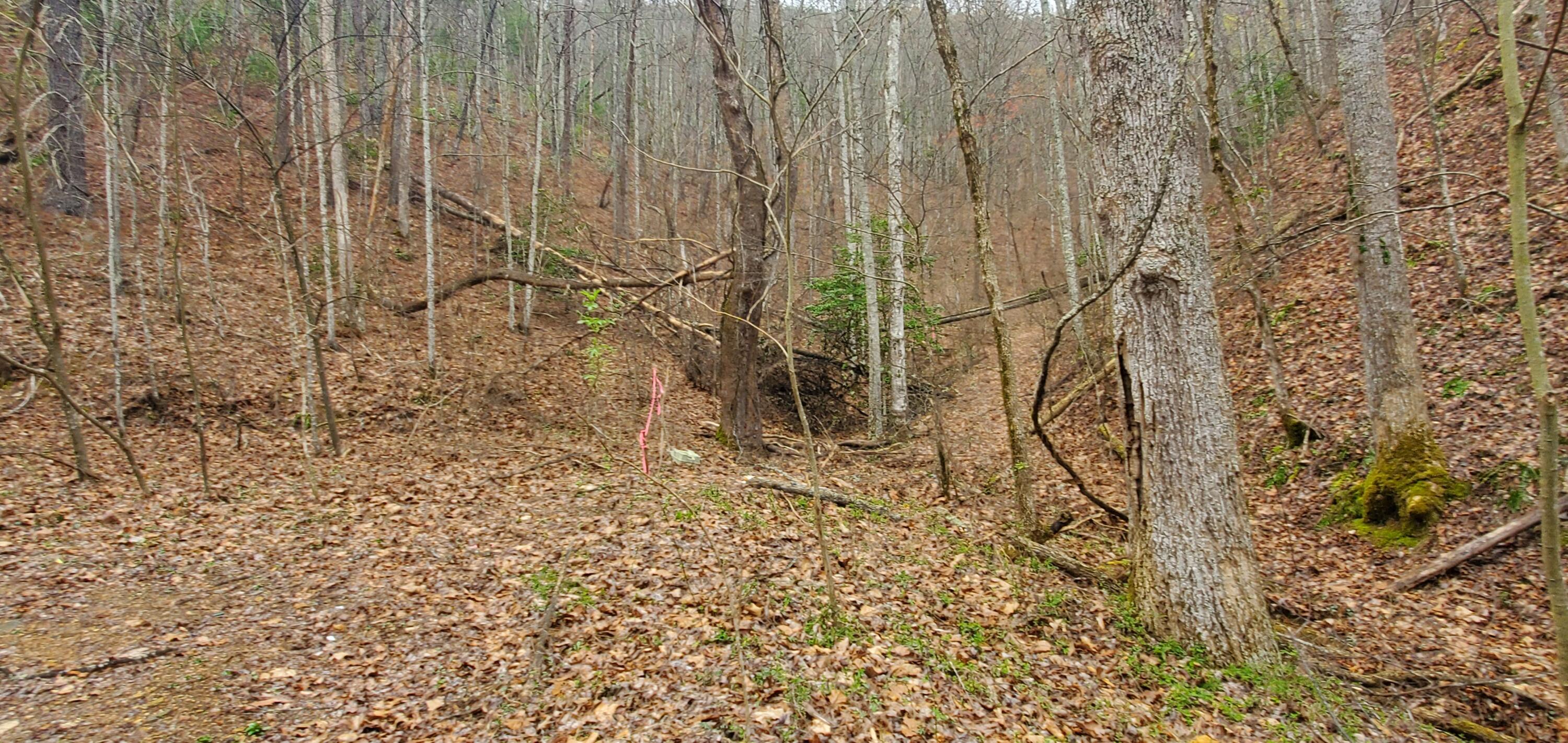 0 Mitchell Hollow Road Sevierville TN 37862