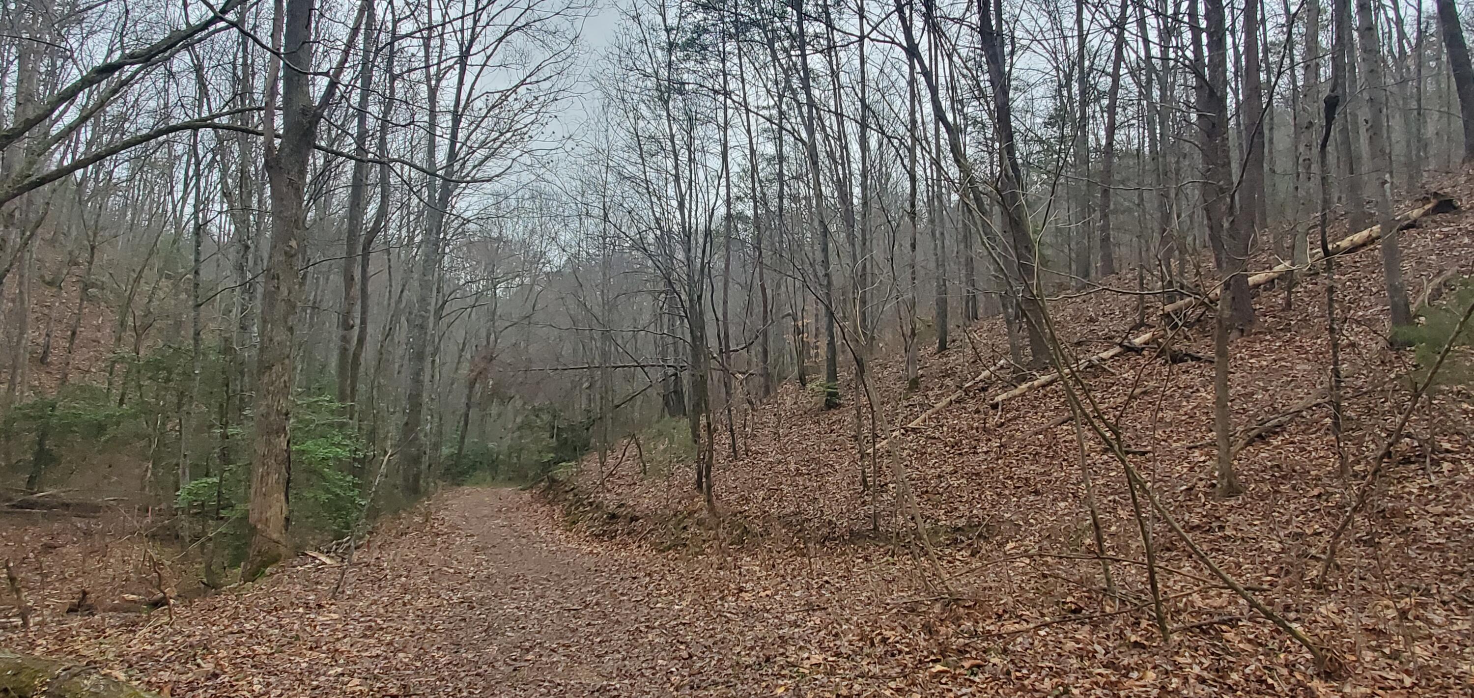 0 Mitchell Hollow Road Sevierville TN 37862