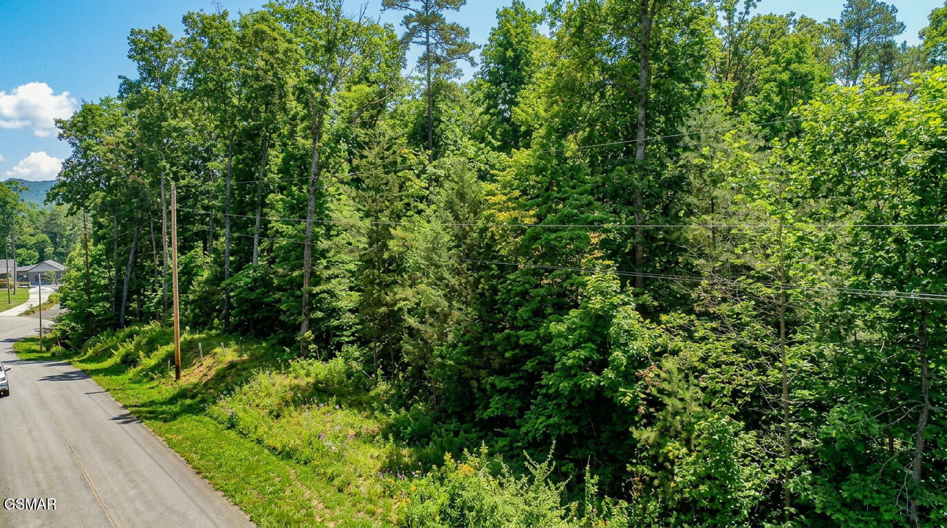 1413 Timber Trail Newport TN 37821