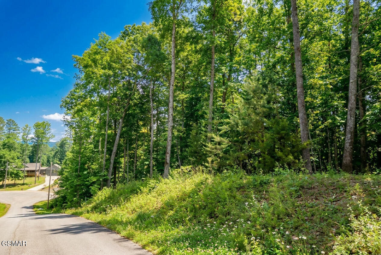 1413 Timber Trail Newport TN 37821