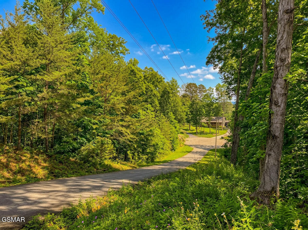 1413 Timber Trail Newport TN 37821