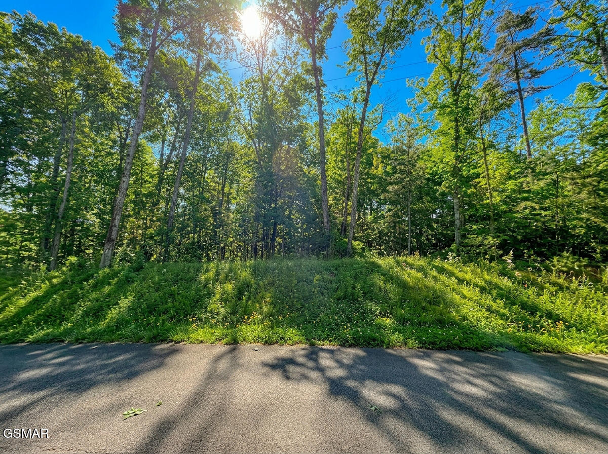 1413 Timber Trail Newport TN 37821