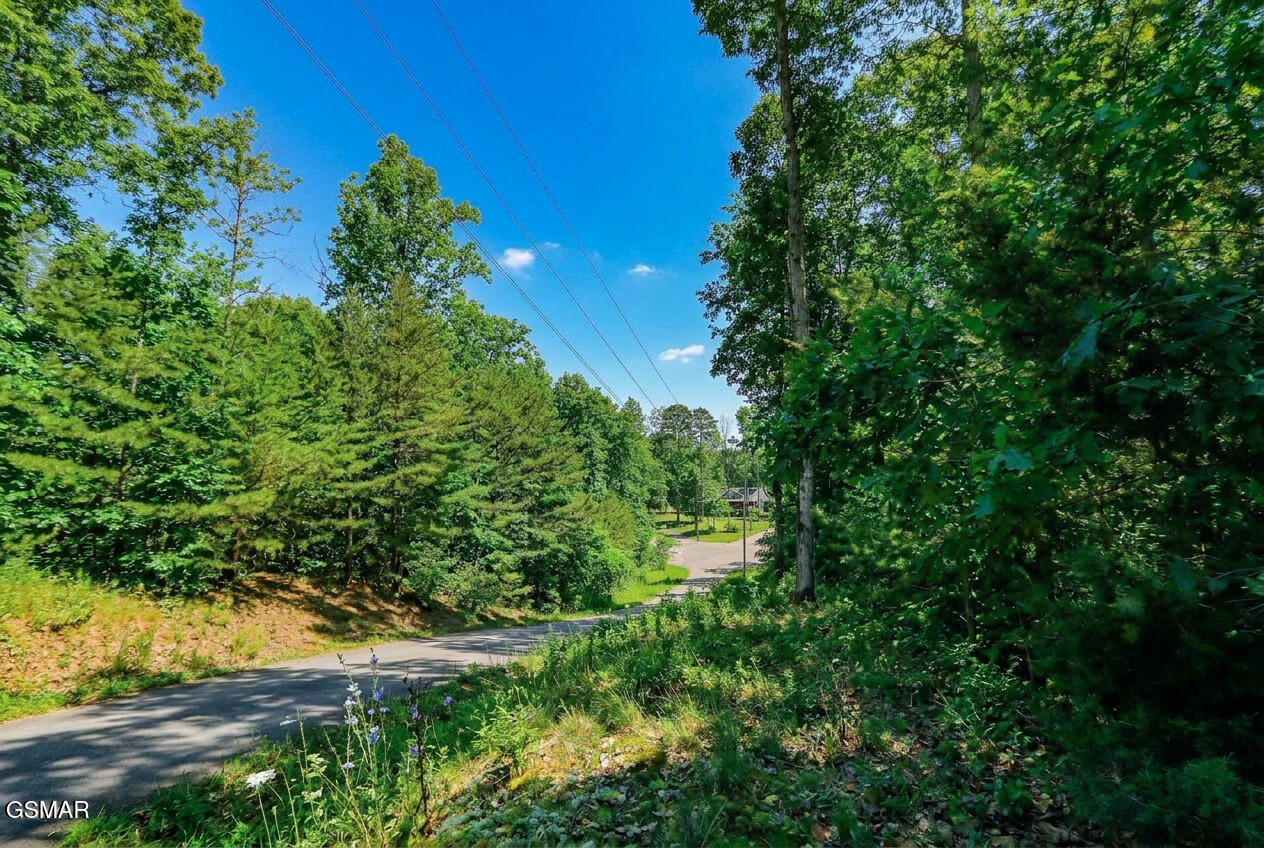 1413 Timber Trail Newport TN 37821