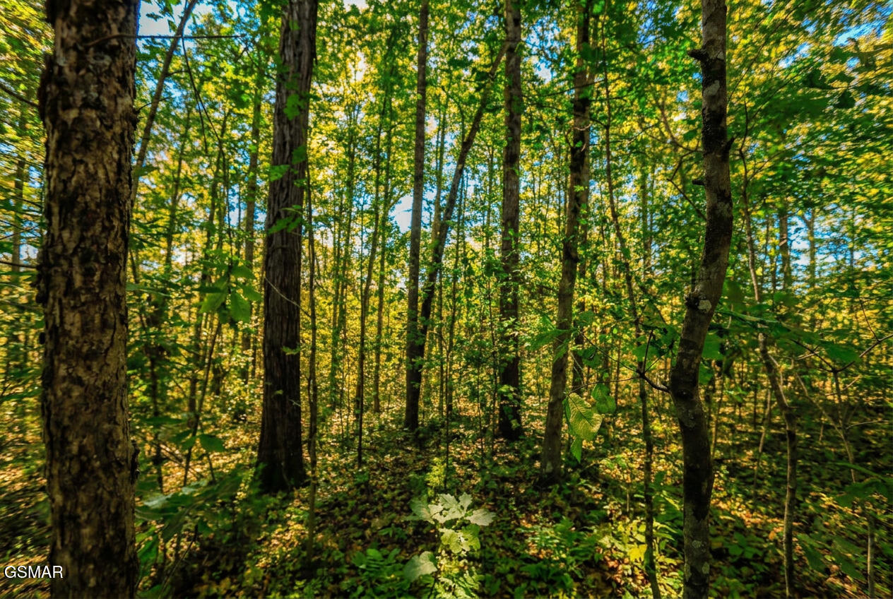 1413 Timber Trail Newport TN 37821