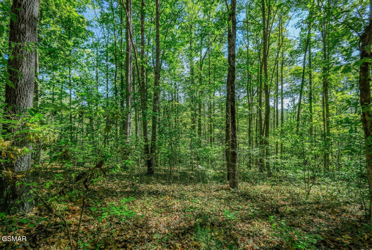 1413 Timber Trail Newport TN 37821