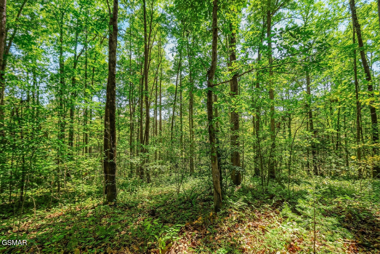 1413 Timber Trail Newport TN 37821