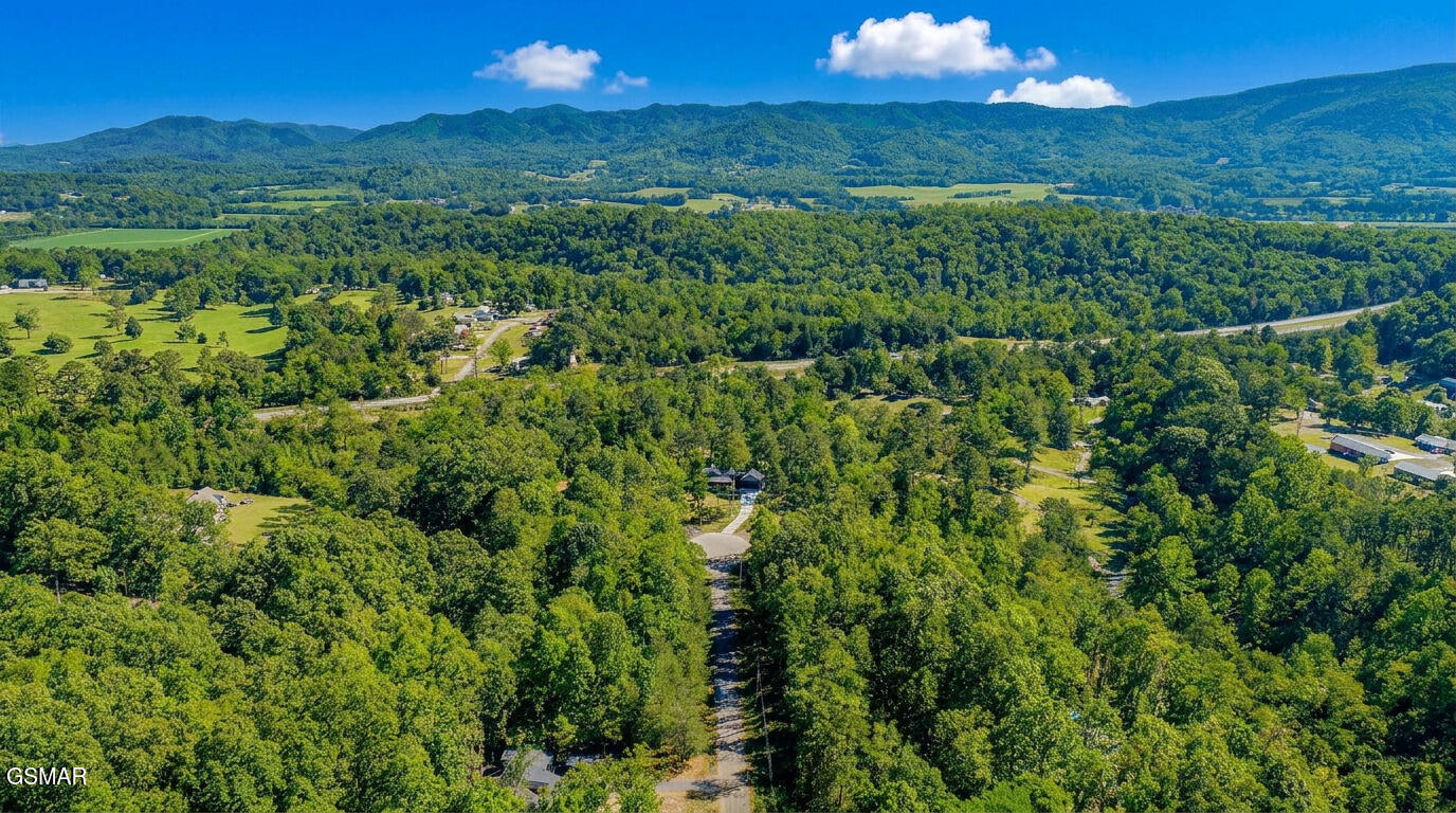 1413 Timber Trail Newport TN 37821