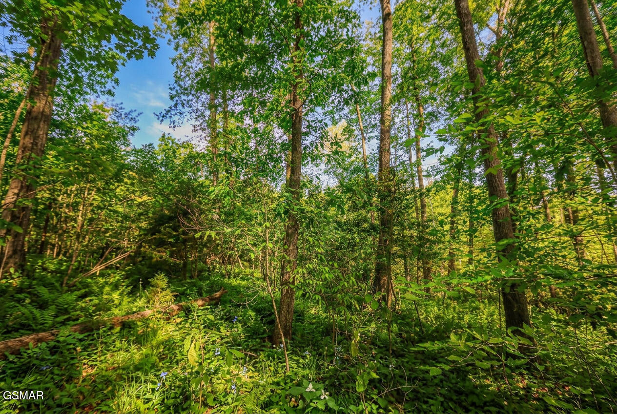 1413 Timber Trail Newport TN 37821