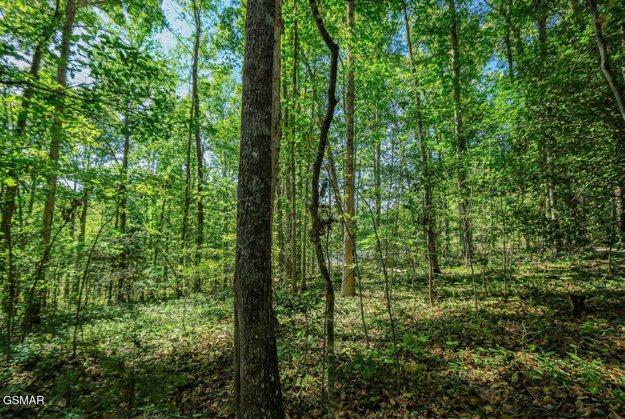 1413 Timber Trail Newport TN 37821