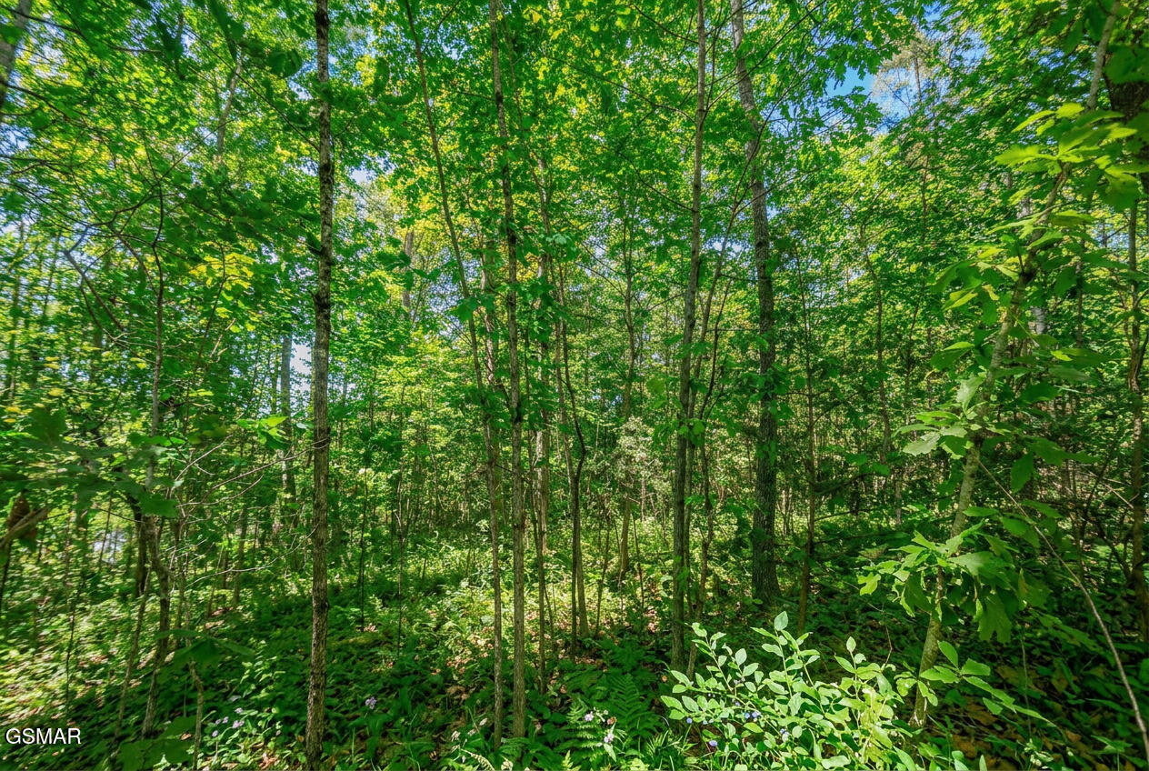 1413 Timber Trail Newport TN 37821