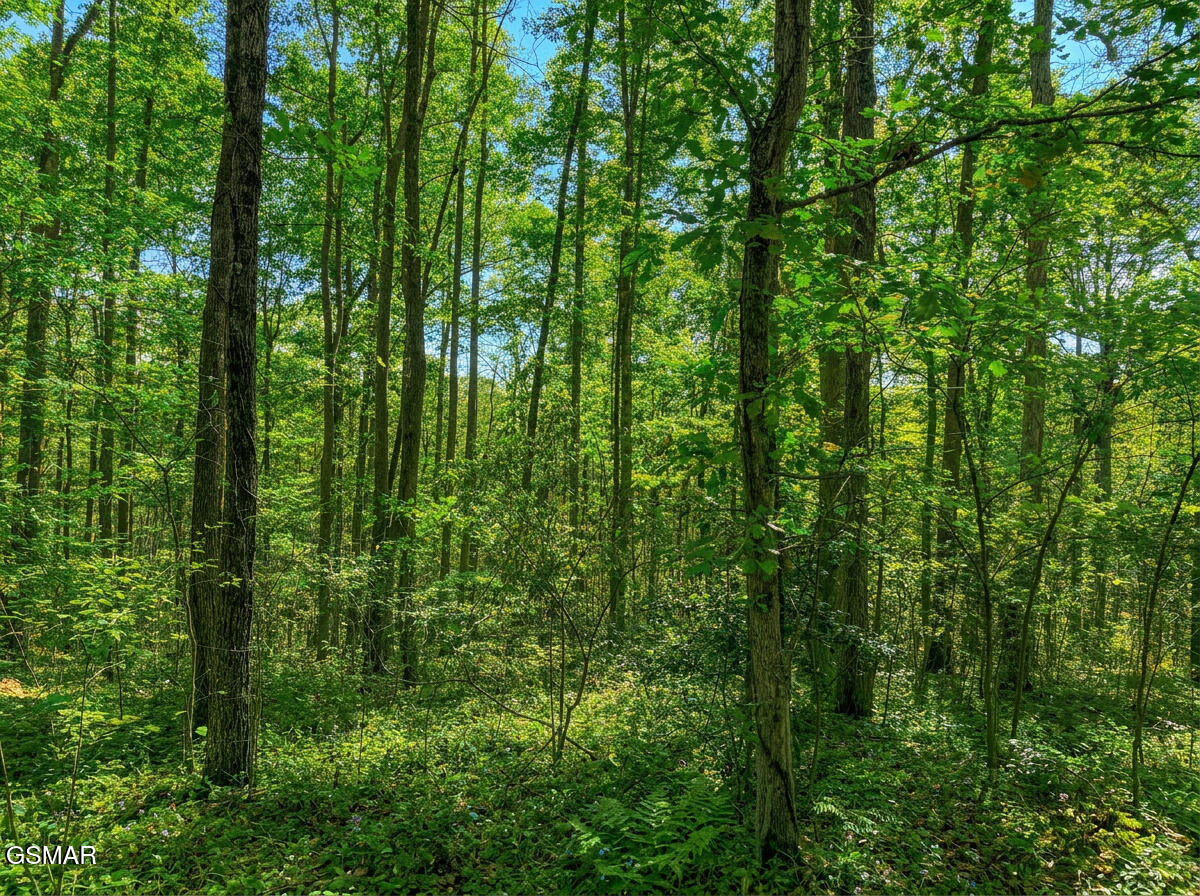 1413 Timber Trail Newport TN 37821