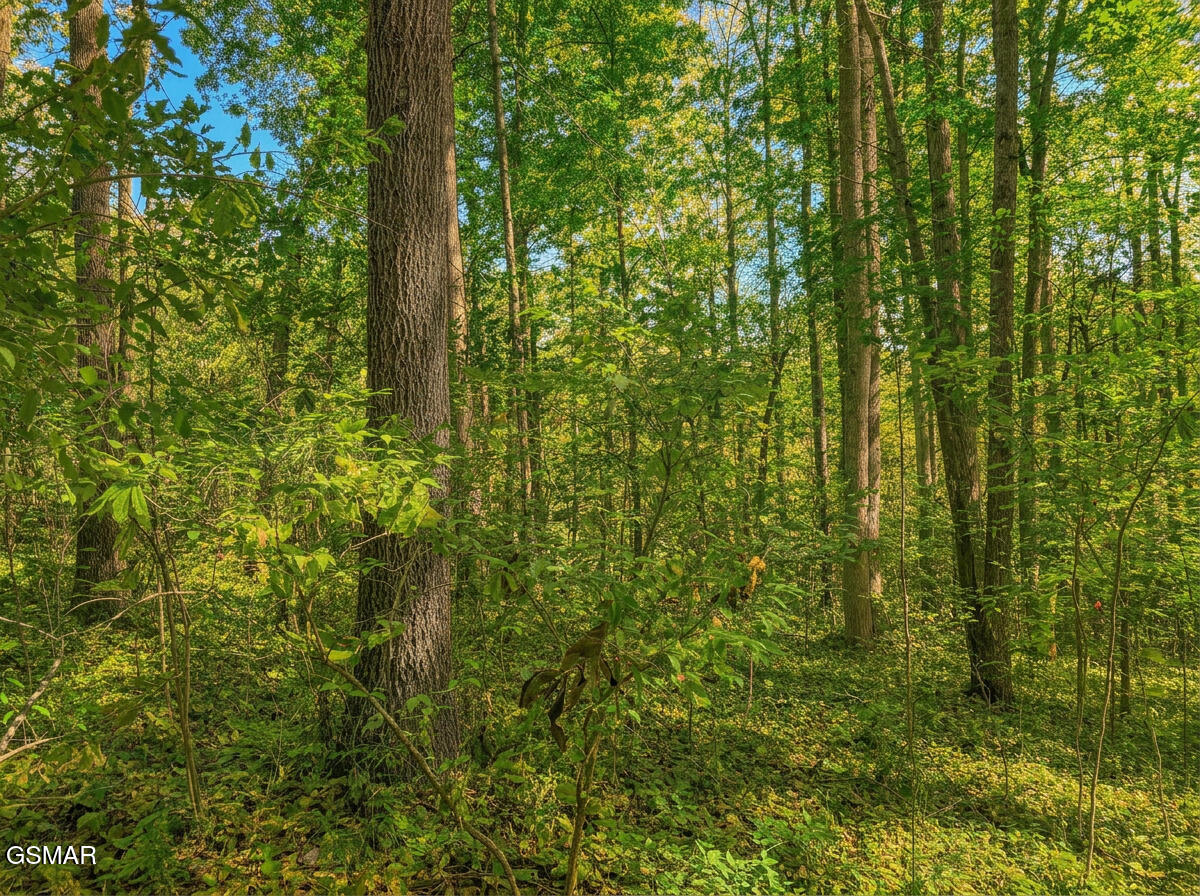 1413 Timber Trail Newport TN 37821