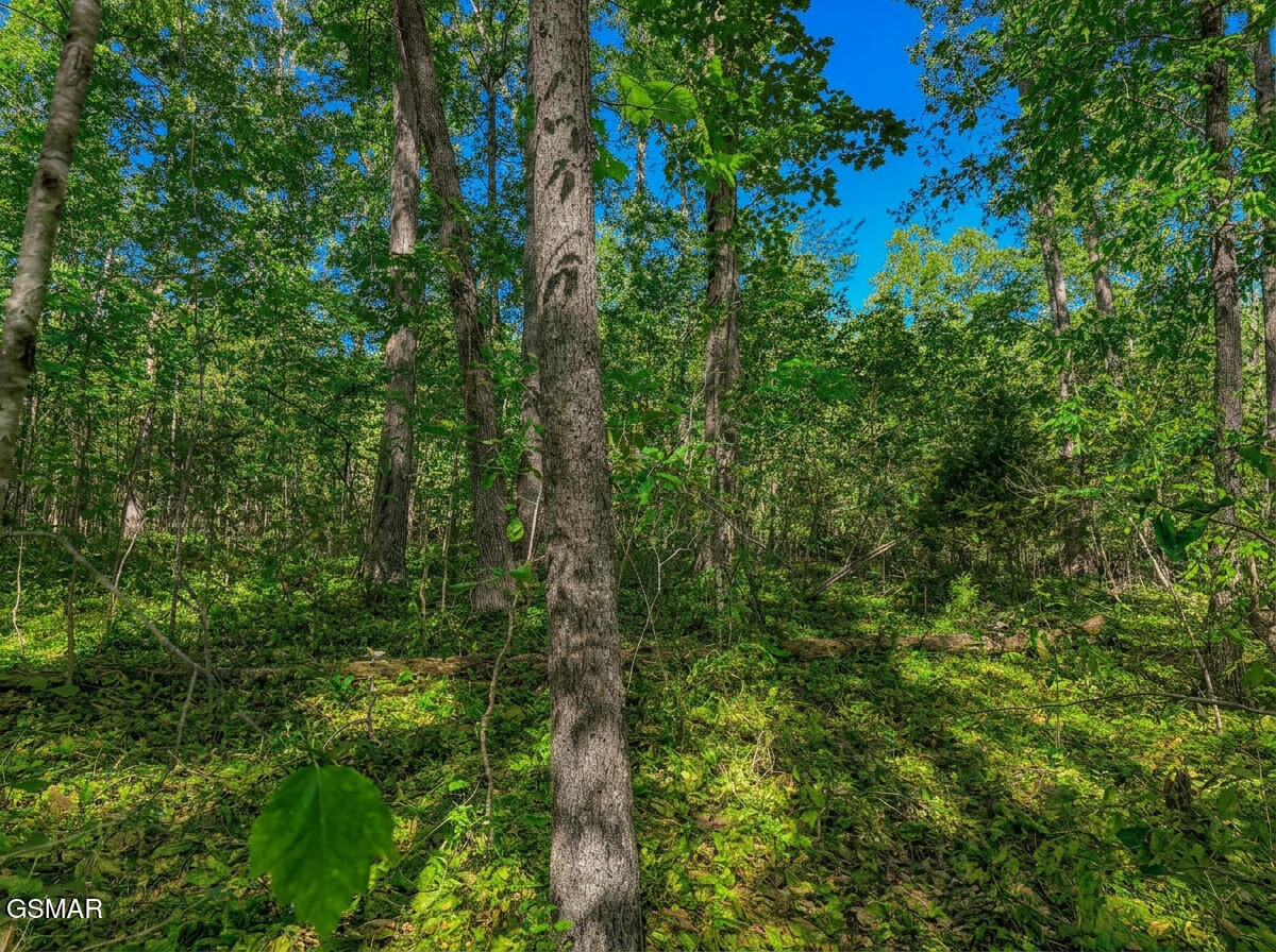 1413 Timber Trail Newport TN 37821