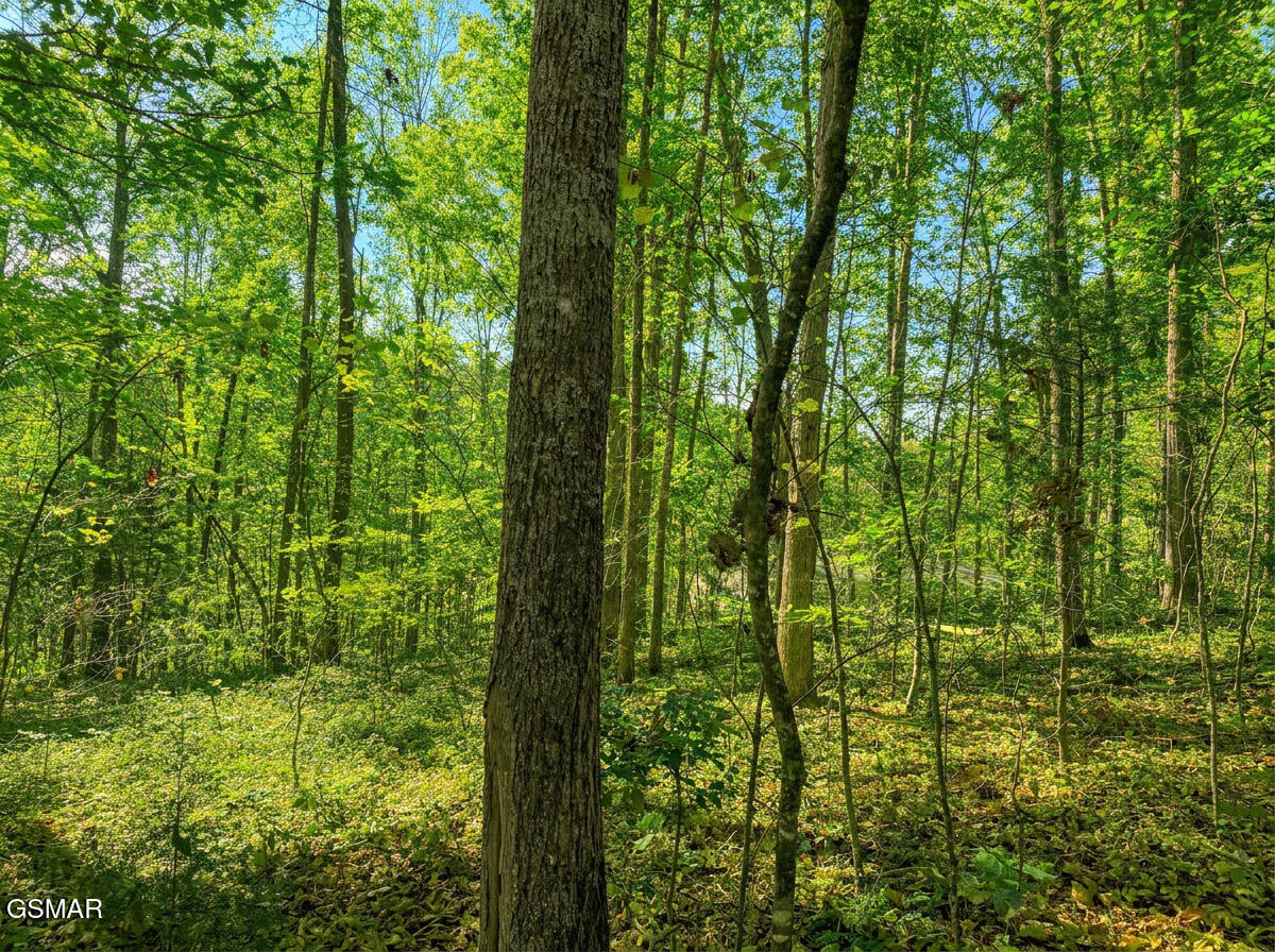 1413 Timber Trail Newport TN 37821