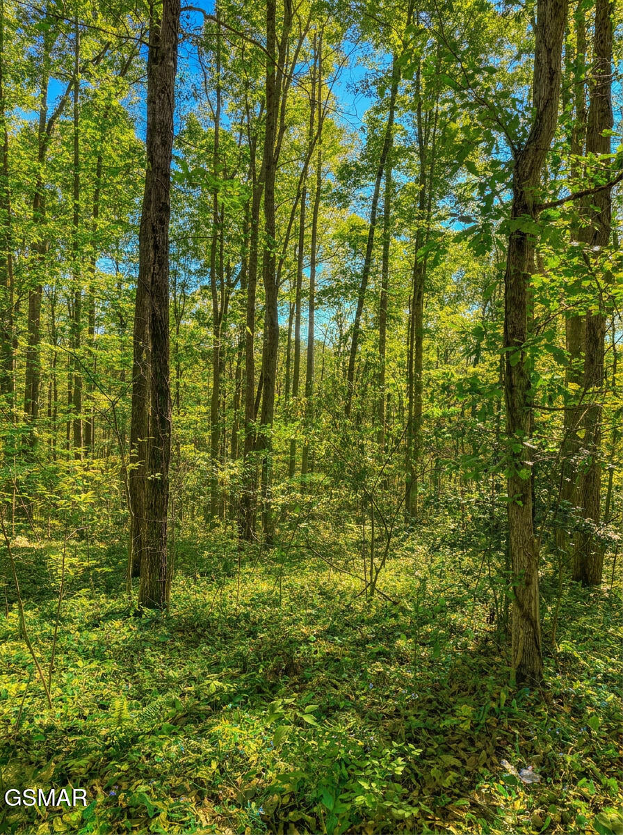 1413 Timber Trail Newport TN 37821