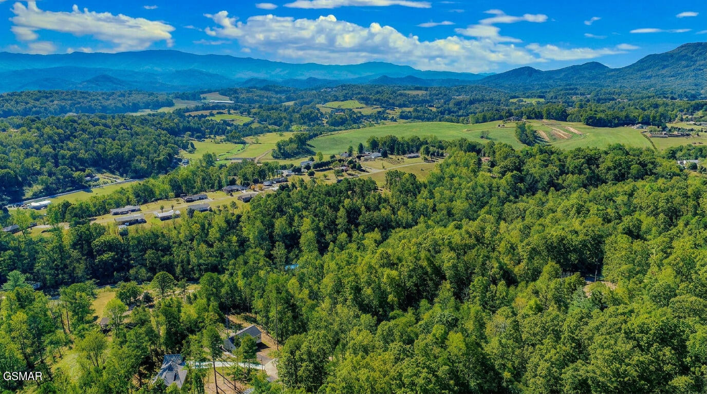 1413 Timber Trail Newport TN 37821