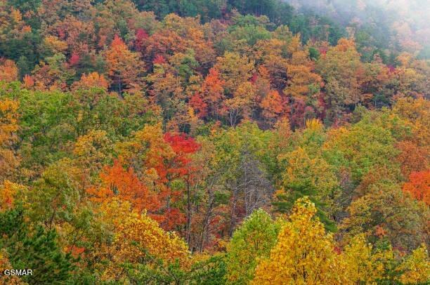 Lot .0001 Stepping Stone Drive Sevierville TN 37862