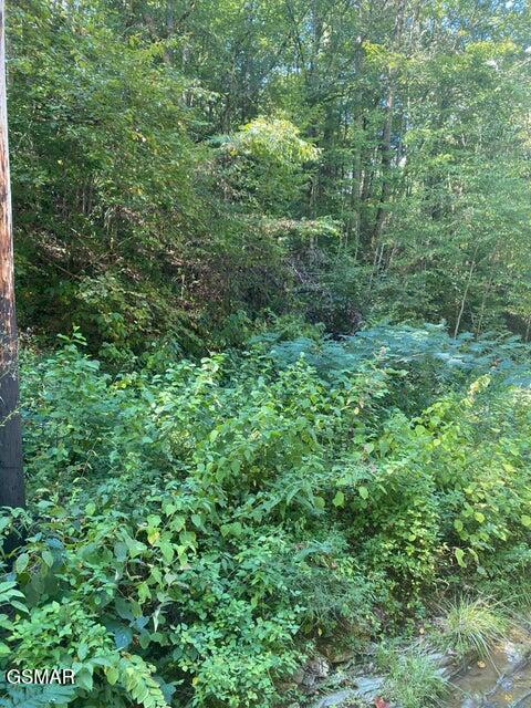 Lot .0001 Stepping Stone Drive Sevierville TN 37862