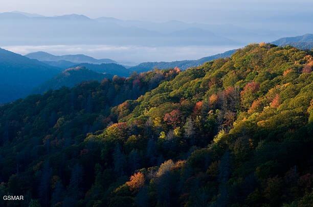 Lot .0001 Stepping Stone Drive Sevierville TN 37862