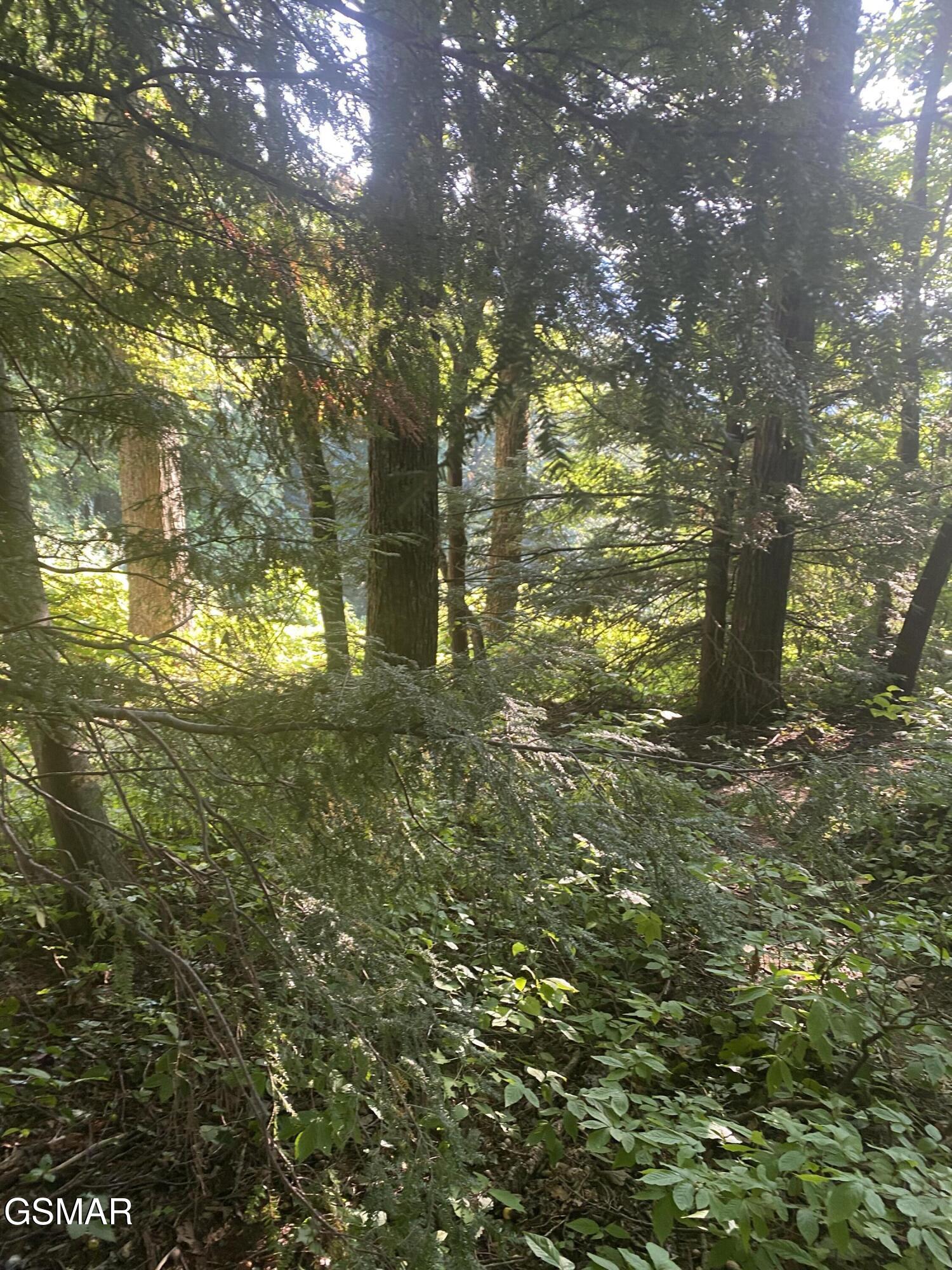 Lot .0001 Stepping Stone Drive Sevierville TN 37862