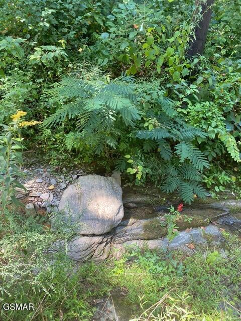 Lot .0001 Stepping Stone Drive Sevierville TN 37862