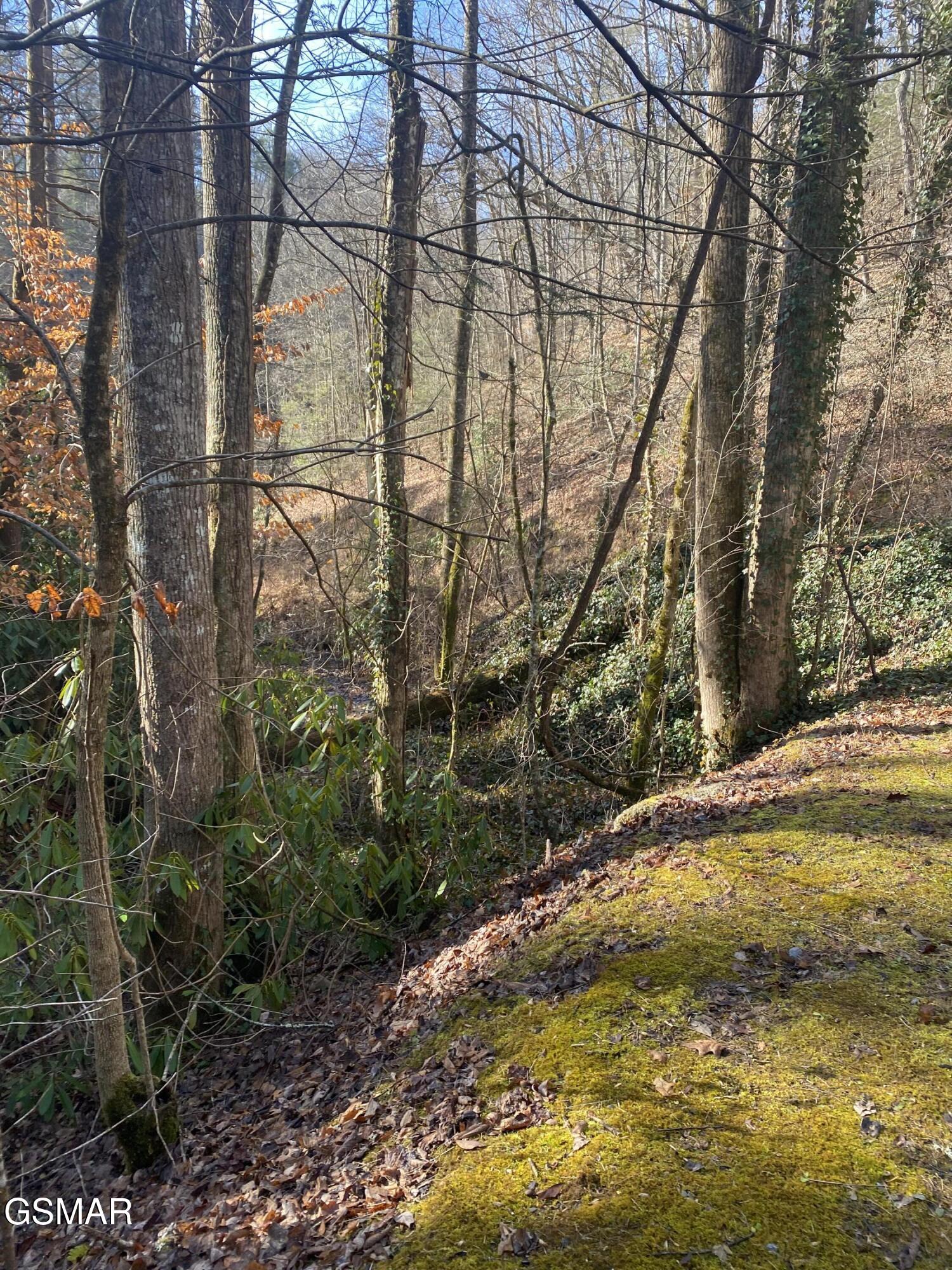 Lot .0001 Stepping Stone Drive Sevierville TN 37862