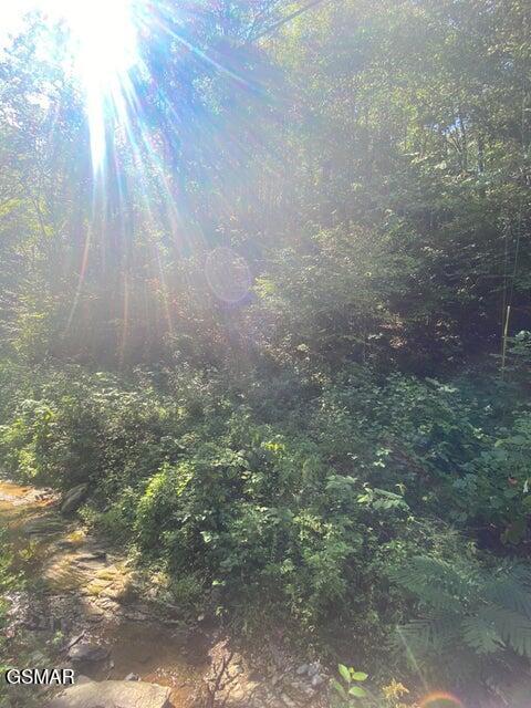 Lot .0001 Stepping Stone Drive Sevierville TN 37862