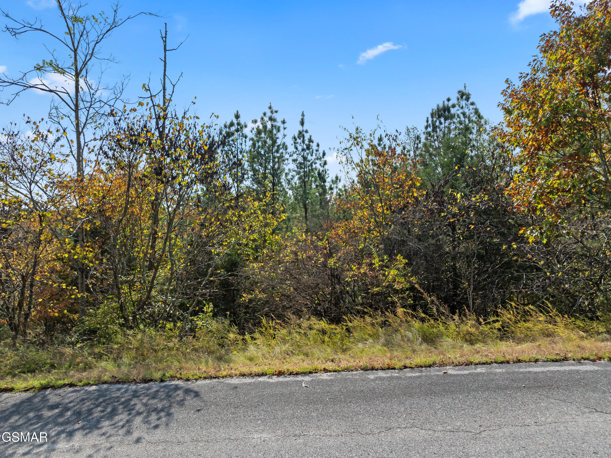 Lot 57 Fork Horn Trail Dandridge TN 37725