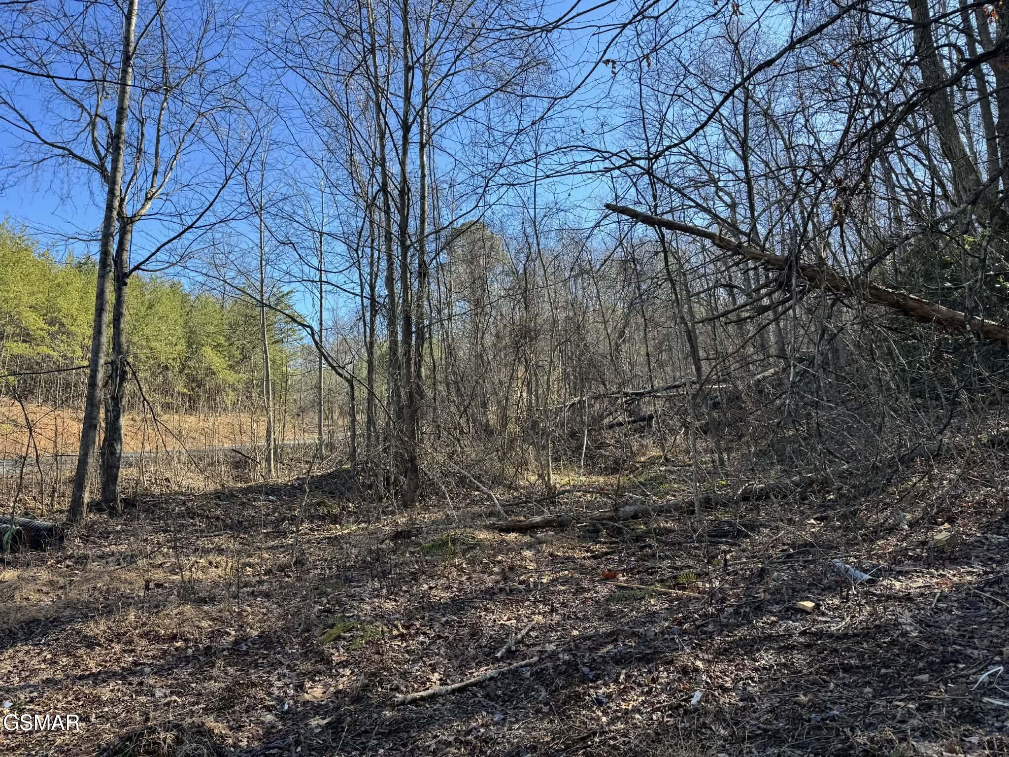 Lot 27 Blue Springs Way Newport TN 37821