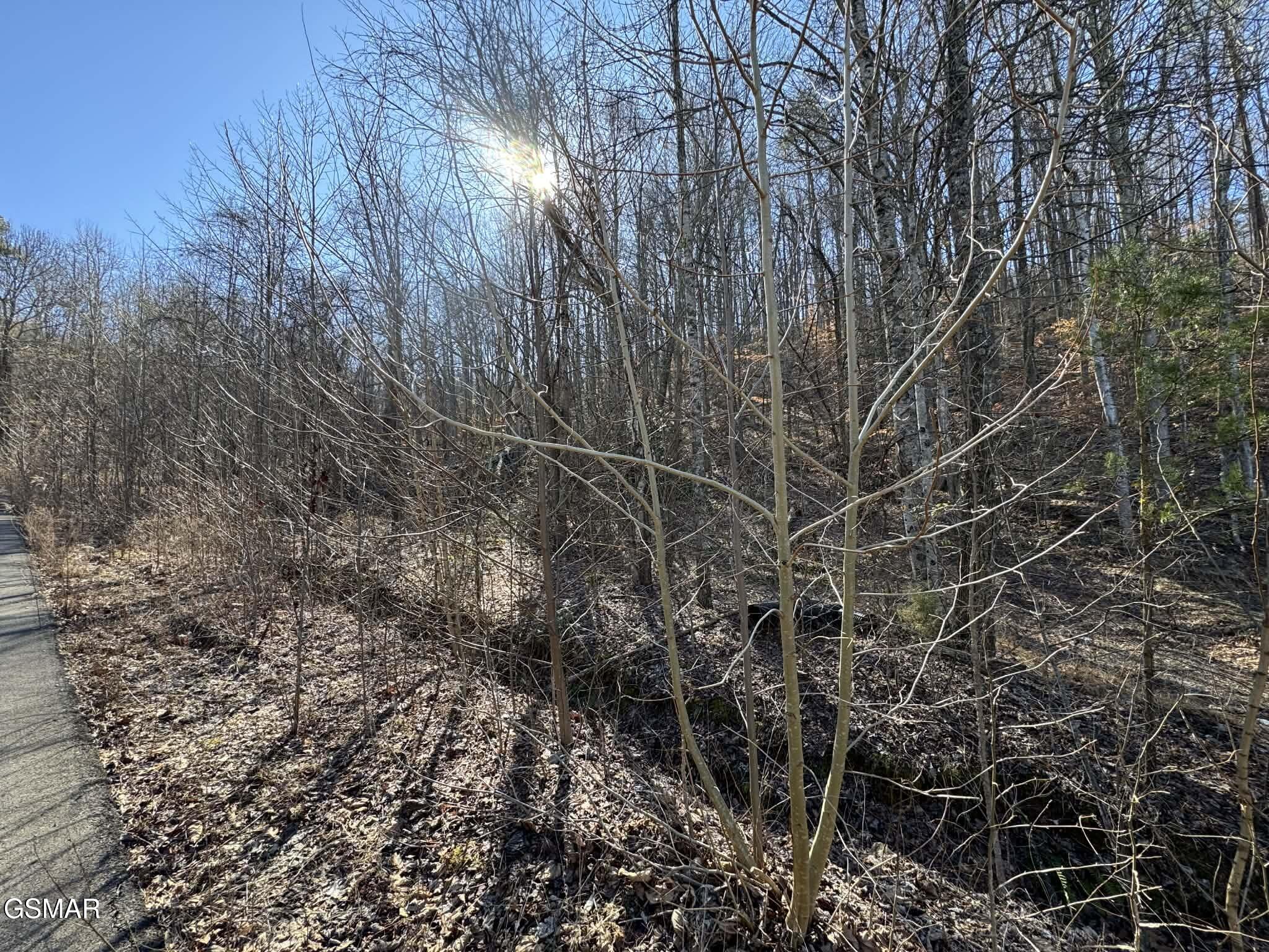 Lot 27 Blue Springs Way Newport TN 37821