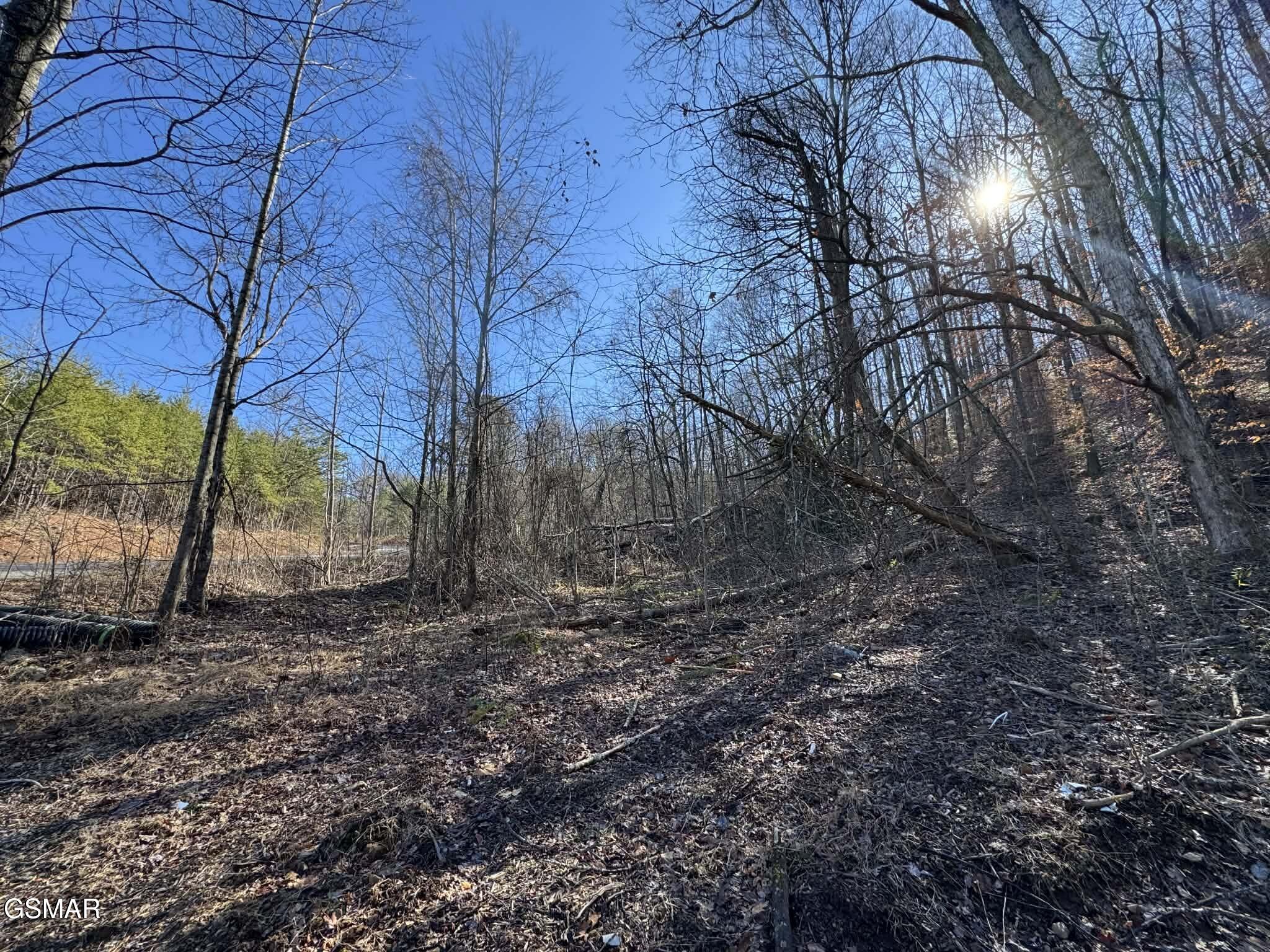 Lot 27 Blue Springs Way Newport TN 37821