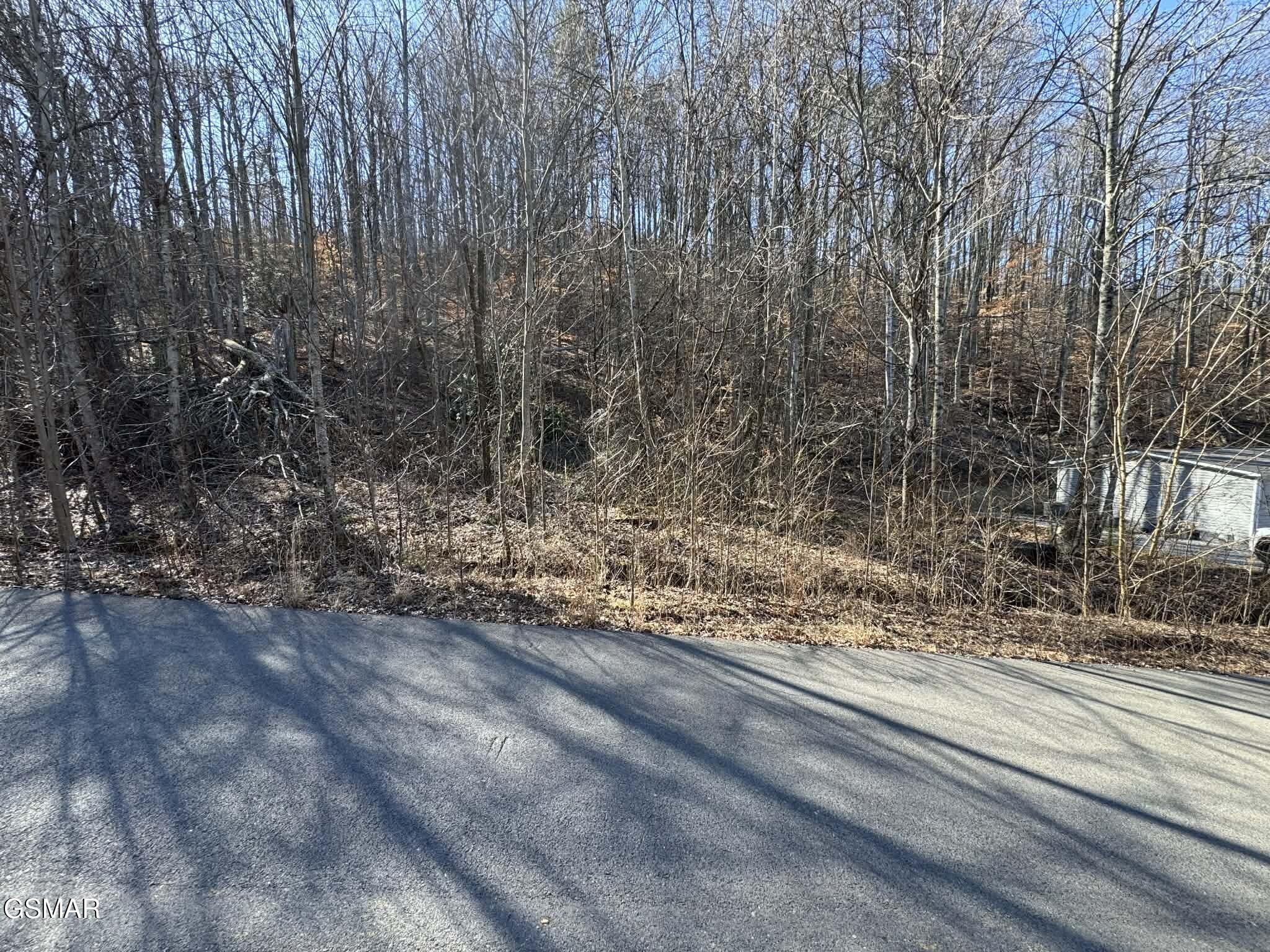 Lot 27 Blue Springs Way Newport TN 37821