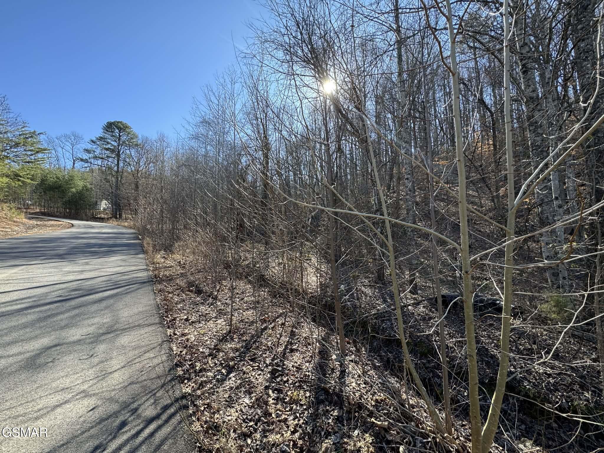 Lot 27 Blue Springs Way Newport TN 37821