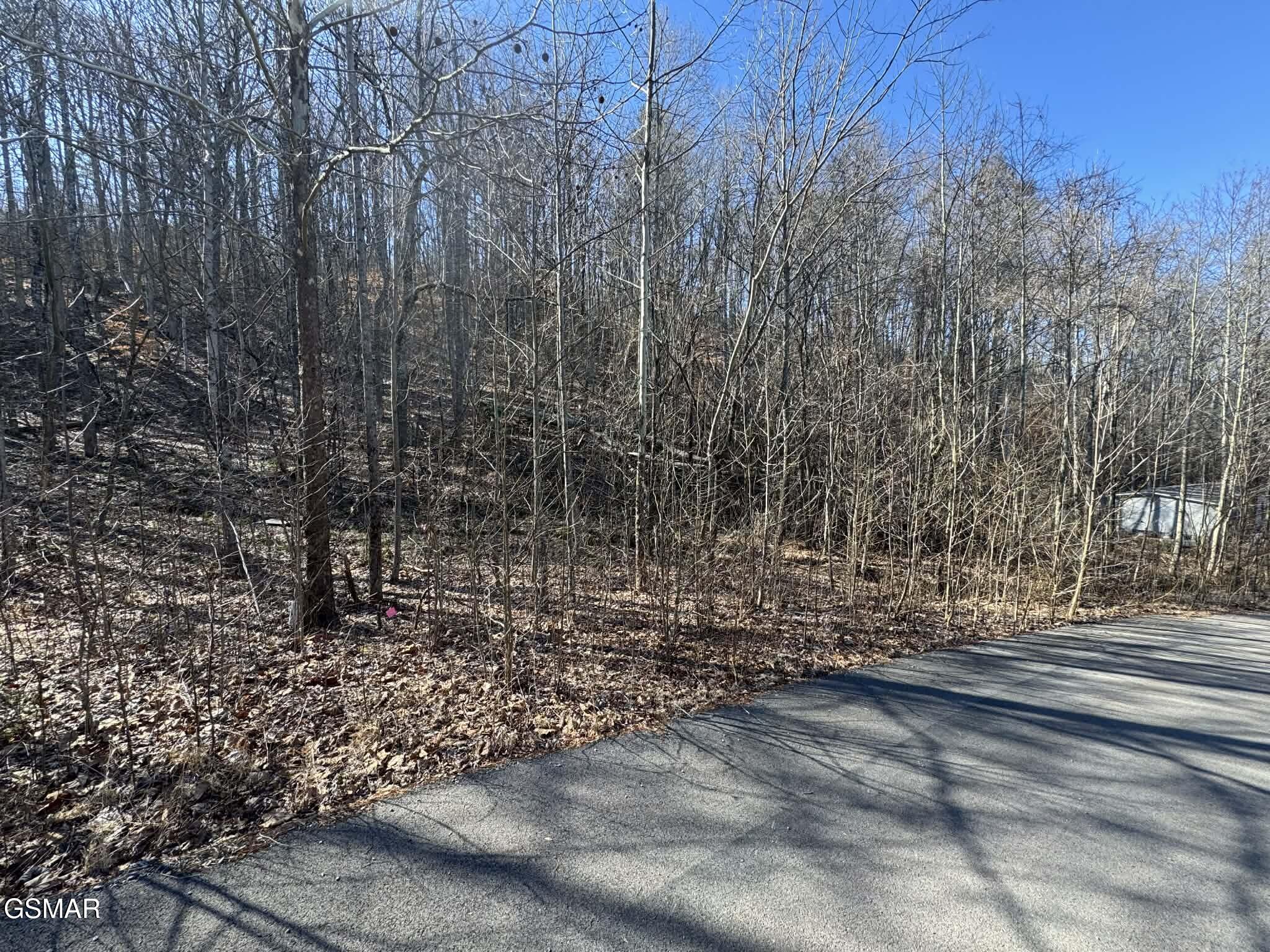 Lot 27 Blue Springs Way Newport TN 37821
