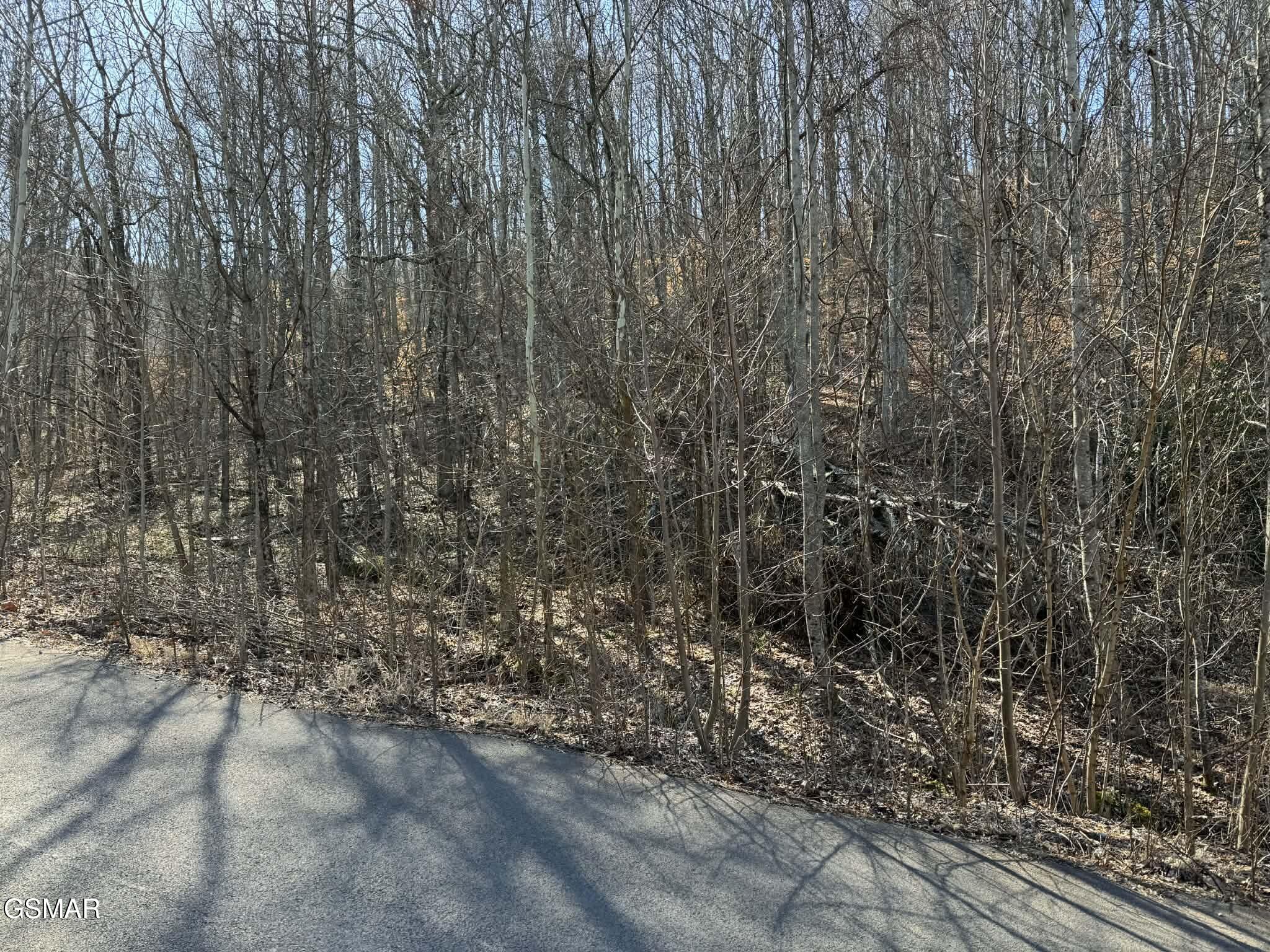 Lot 27 Blue Springs Way Newport TN 37821
