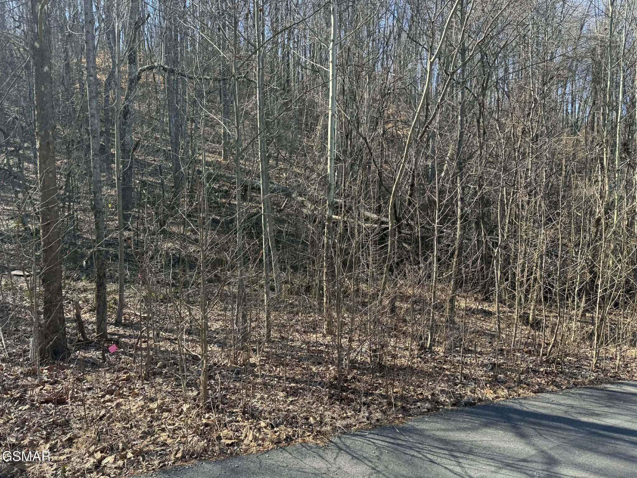 Lot 27 Blue Springs Way Newport TN 37821